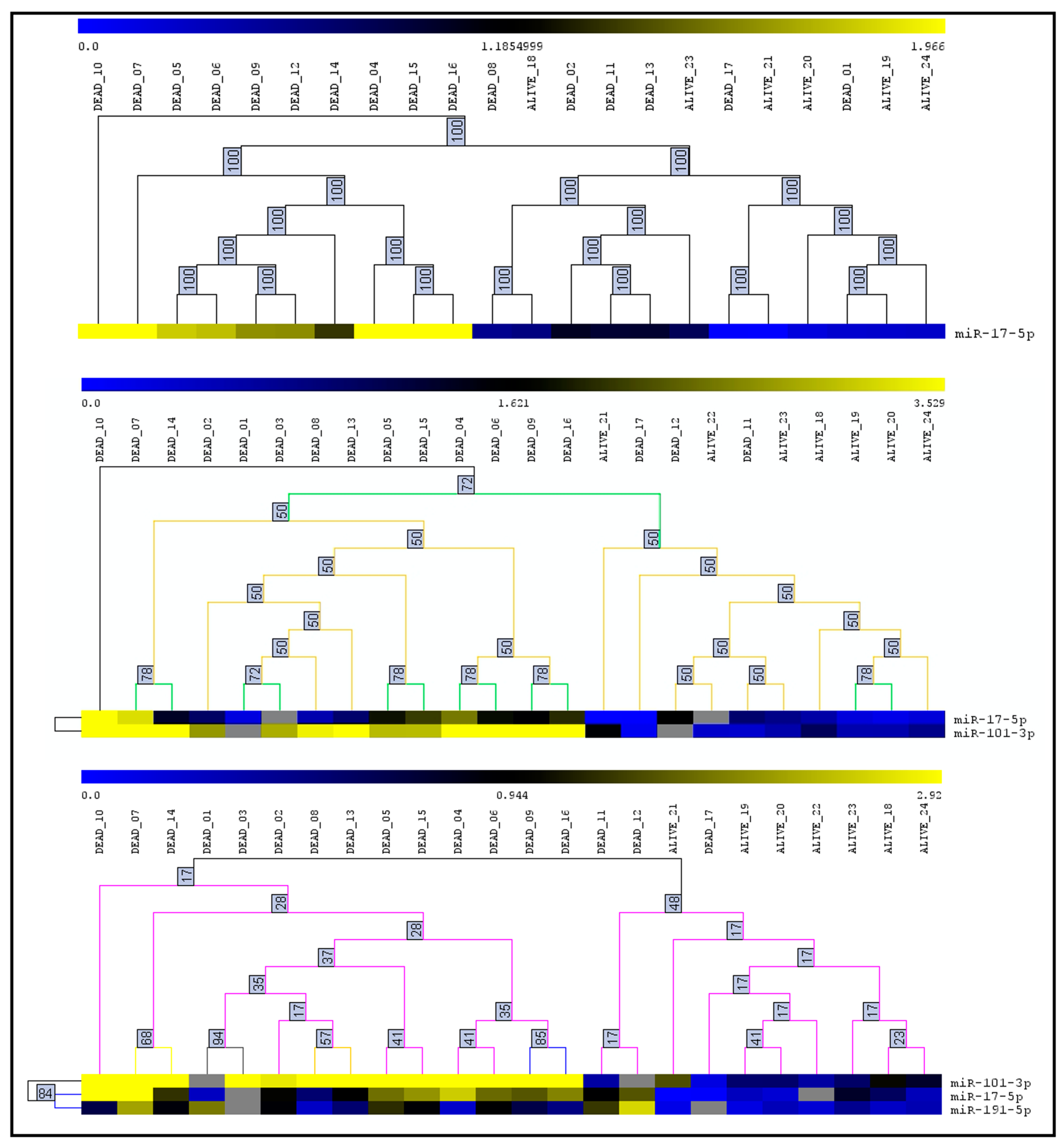 Cancers 15 00869 g001