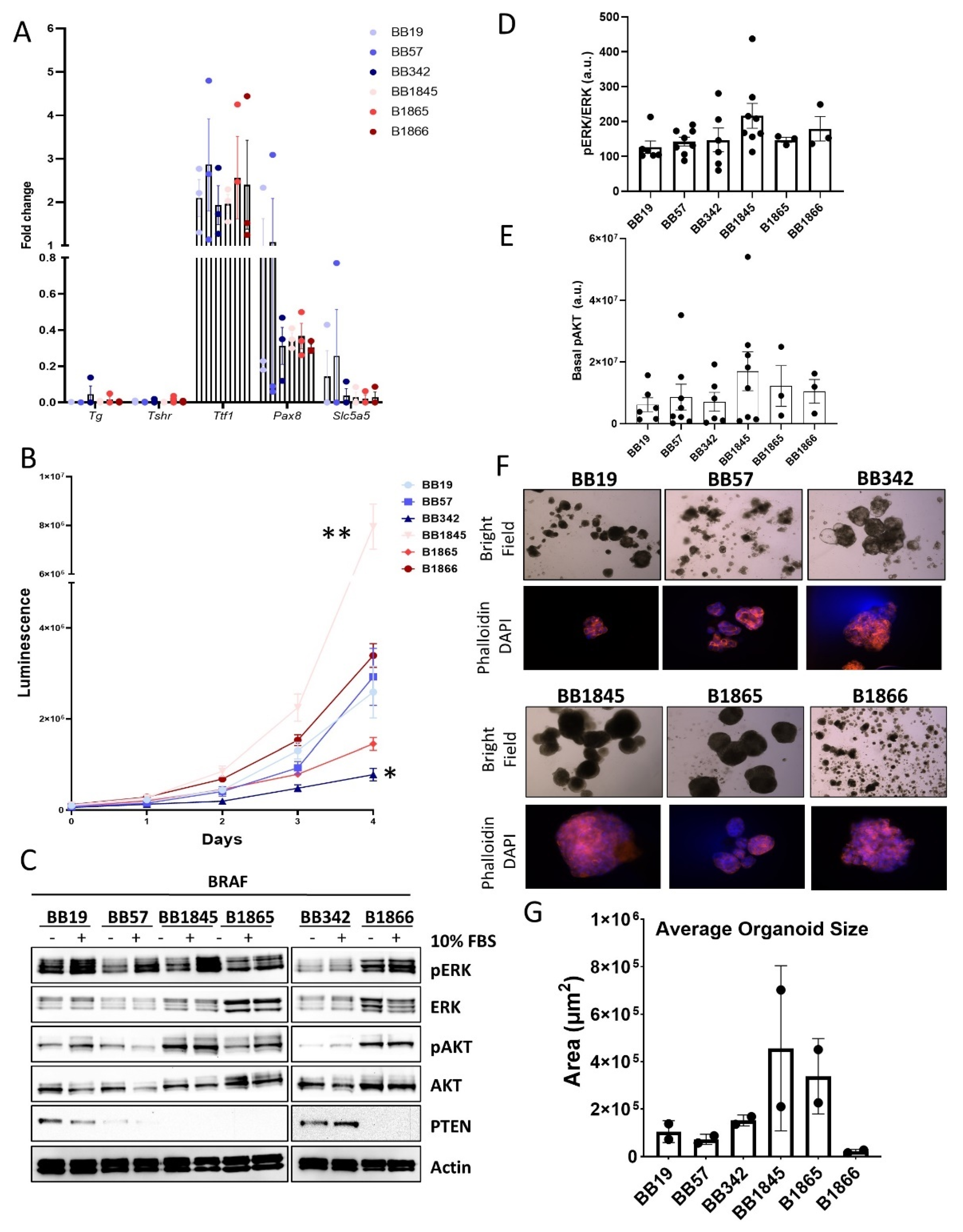 Cancers 15 00879 g002