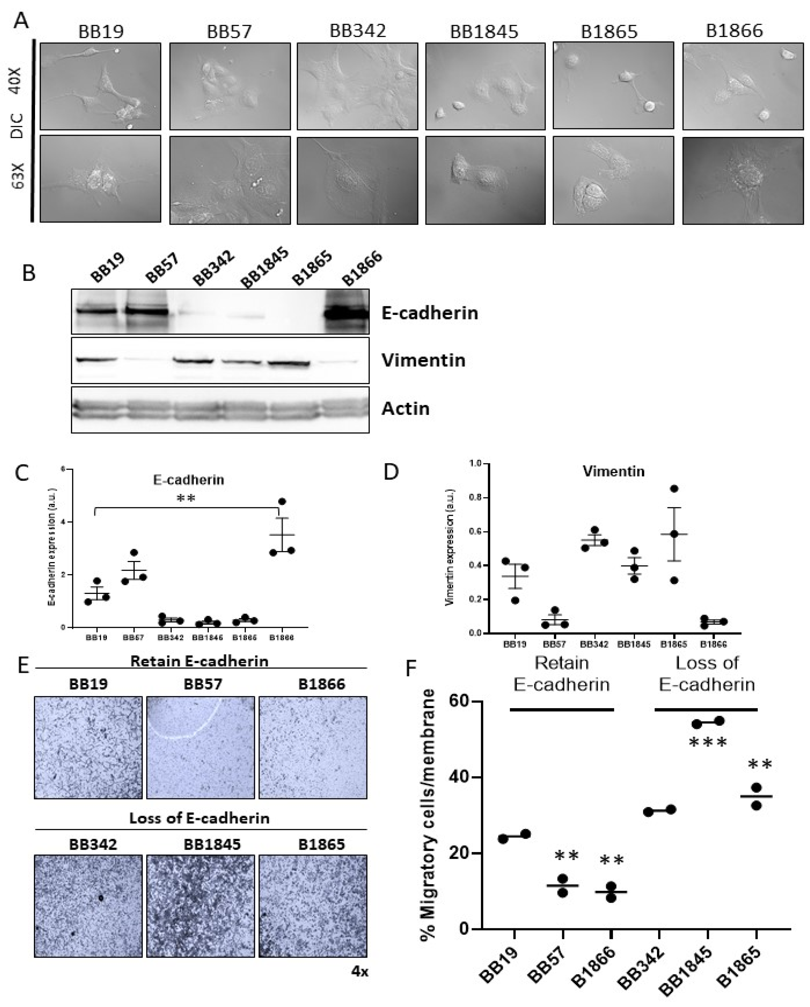 Cancers 15 00879 g003