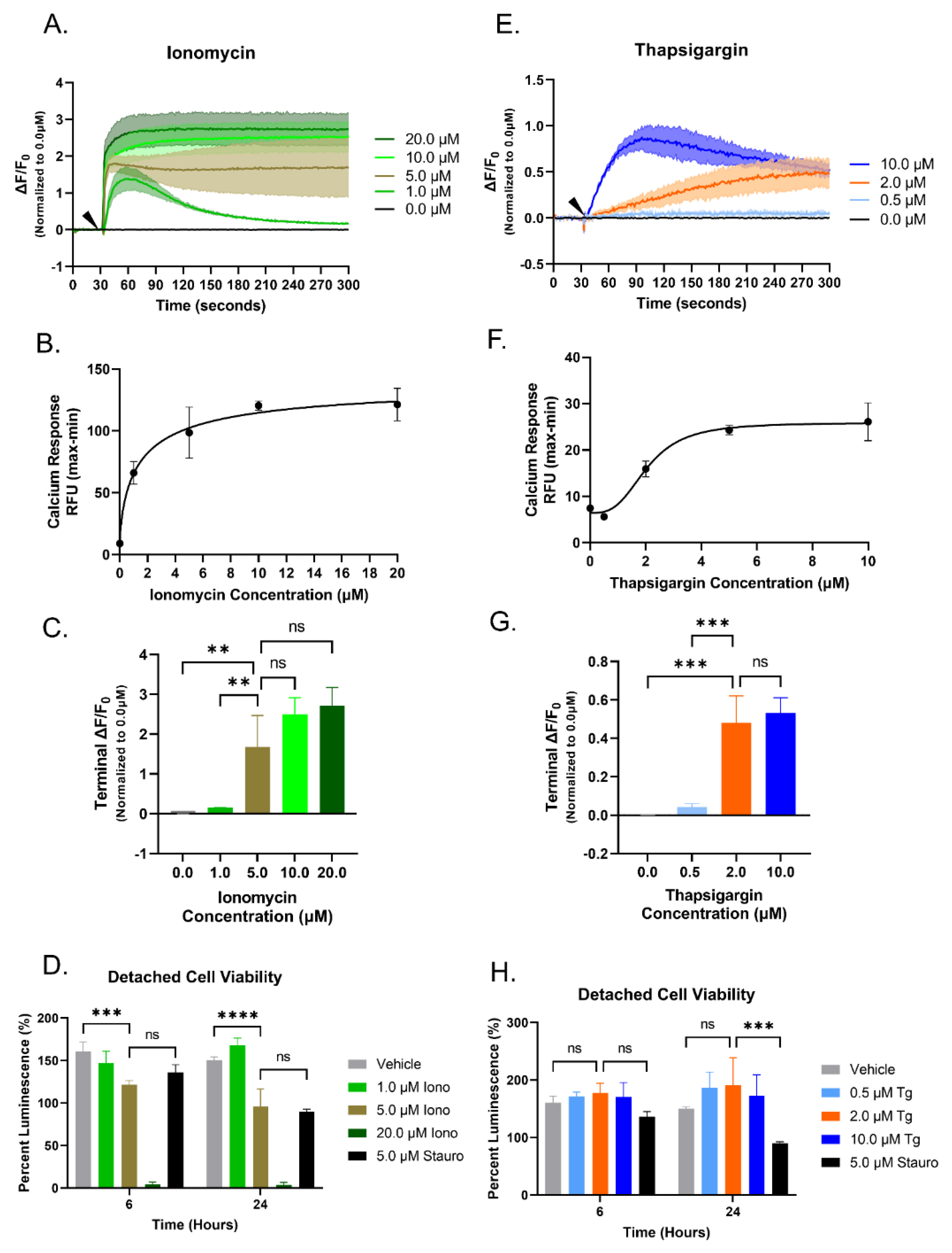 Cancers 15 00884 g002