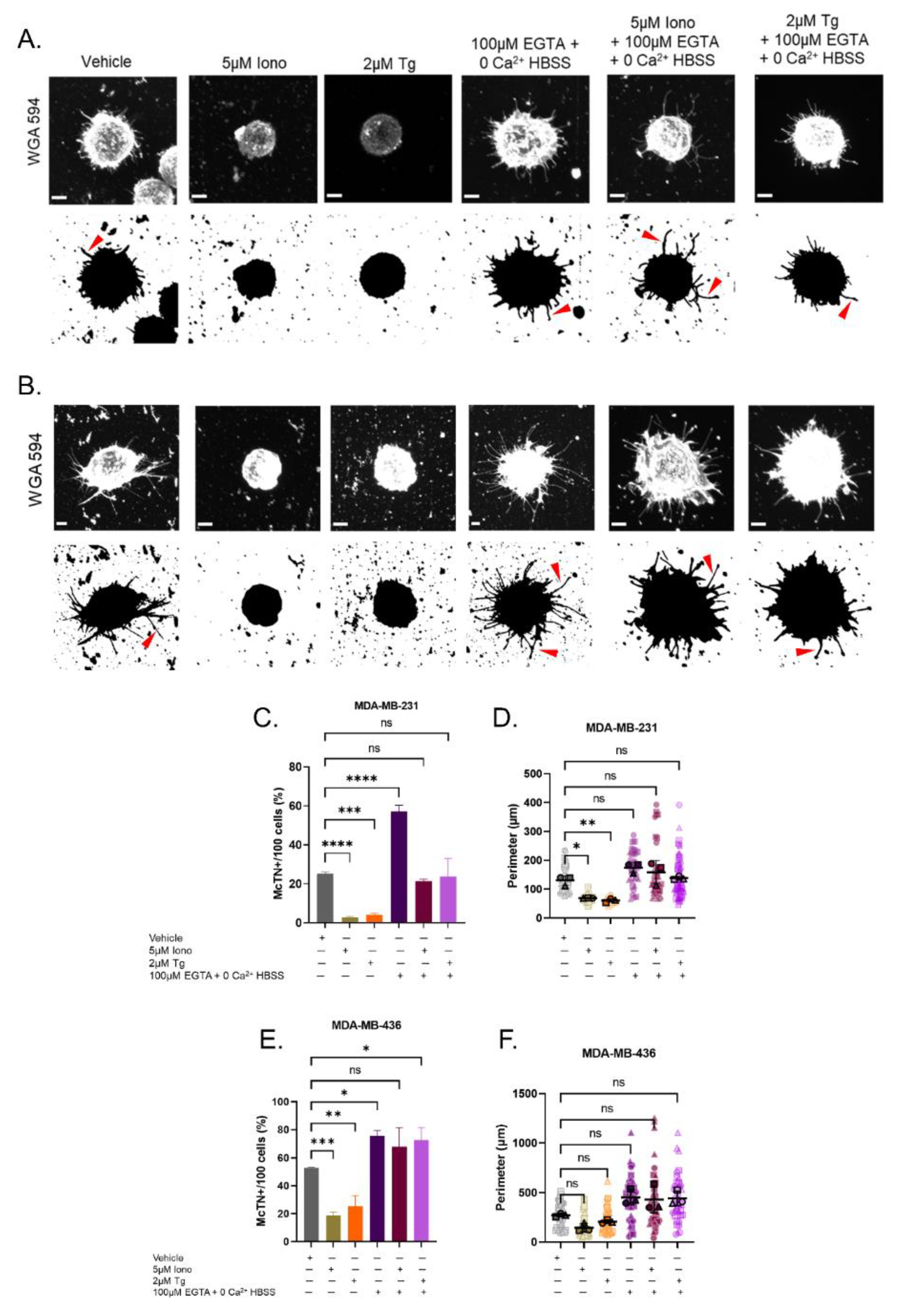 Cancers 15 00884 g003