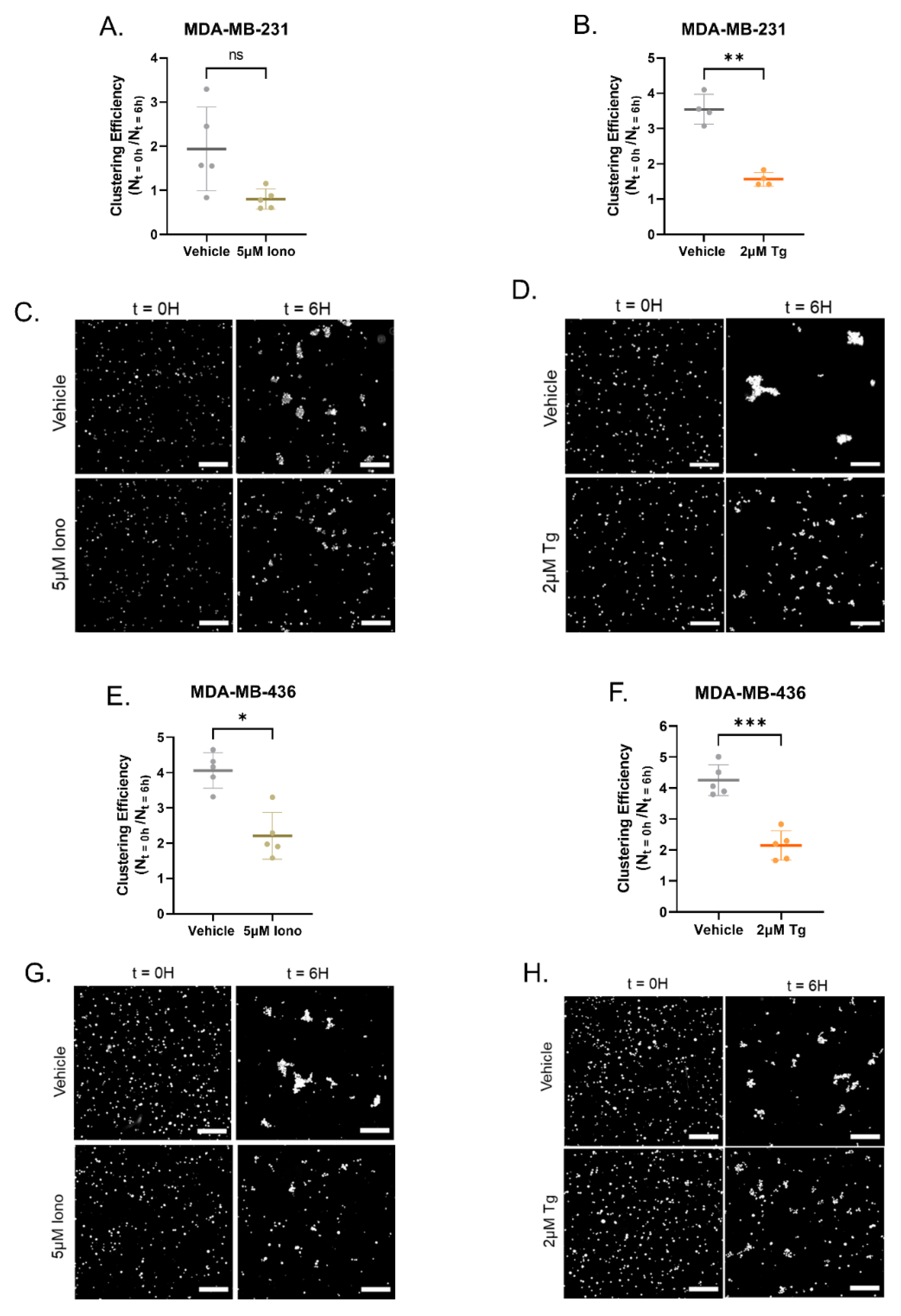 Cancers 15 00884 g005