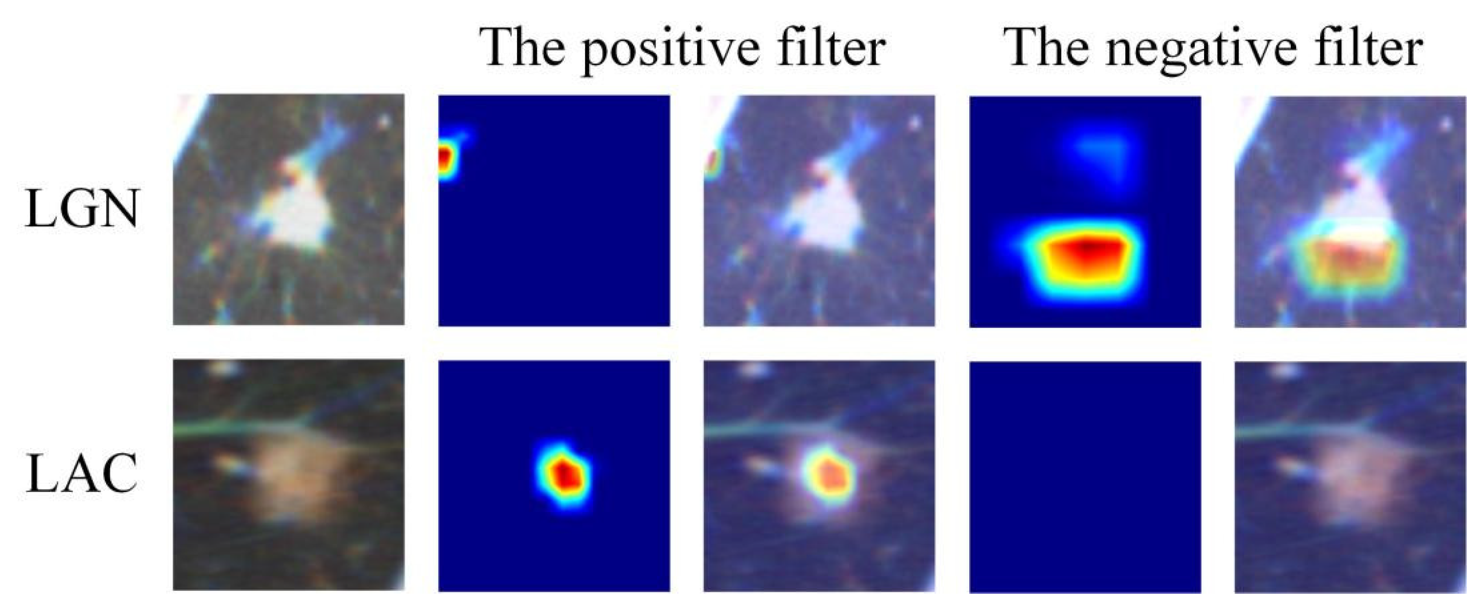 Cancers 15 00892 g003