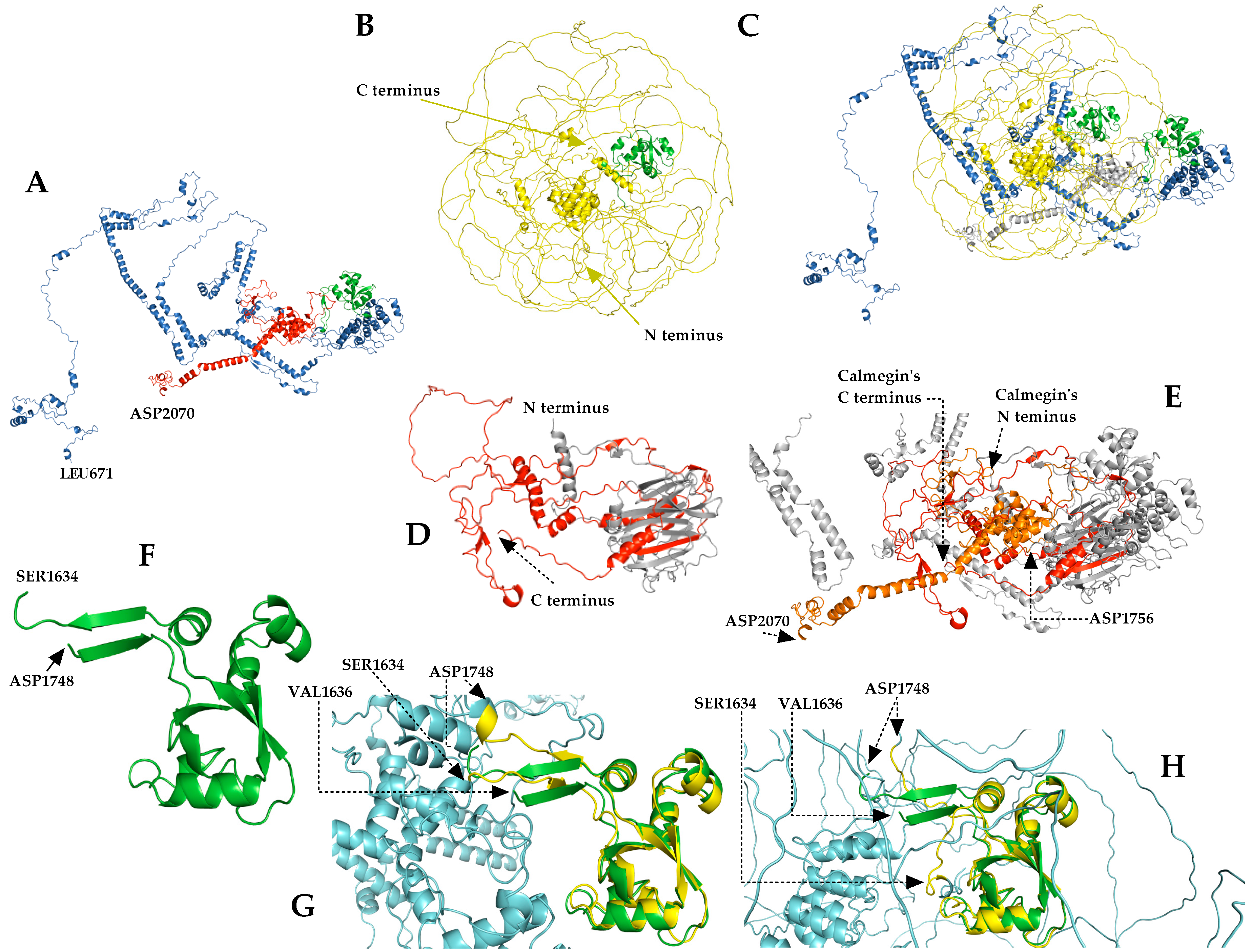 Cancers 15 00898 g005