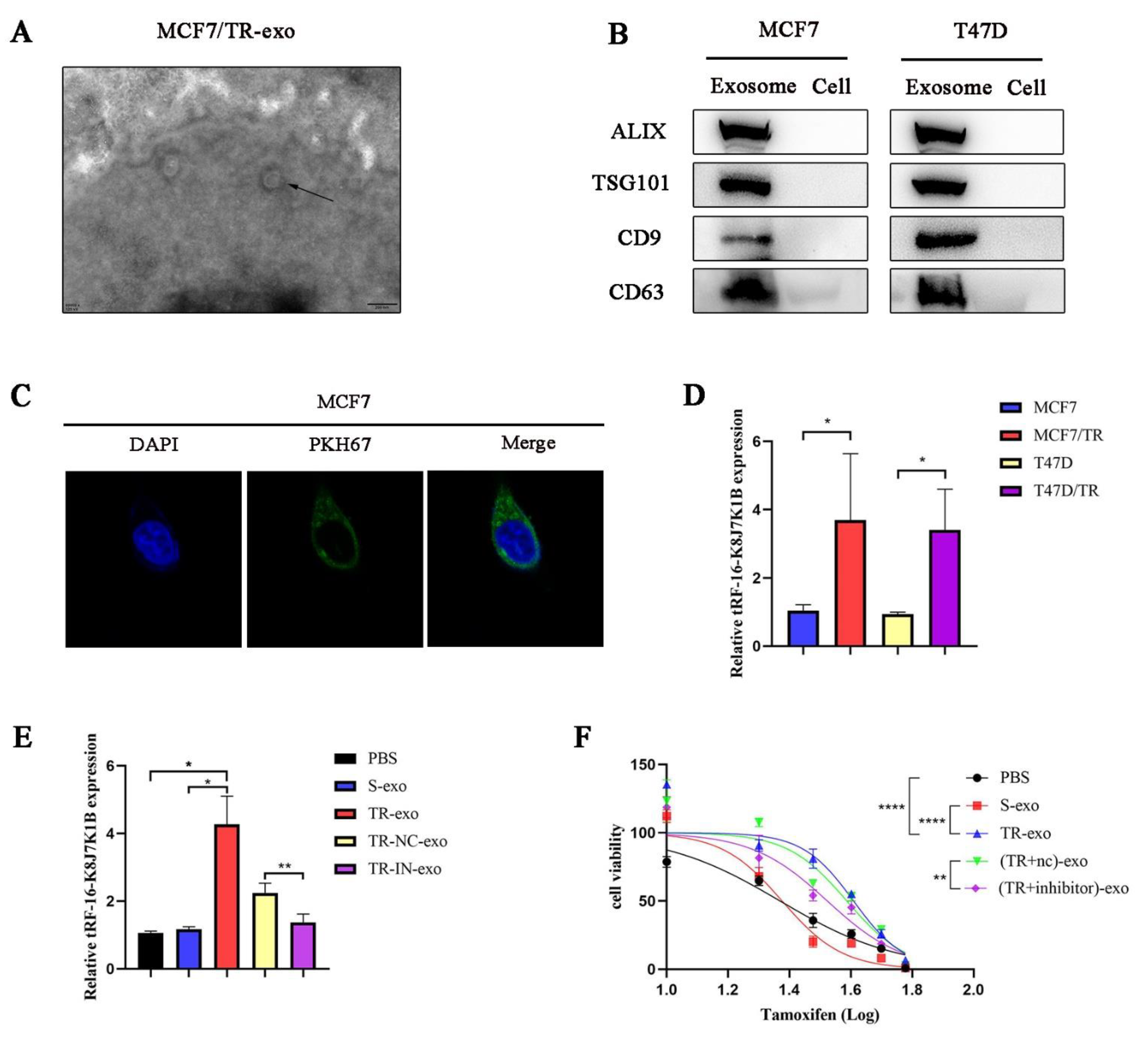 Cancers 15 00899 g003 Cancers 15 00899 g003