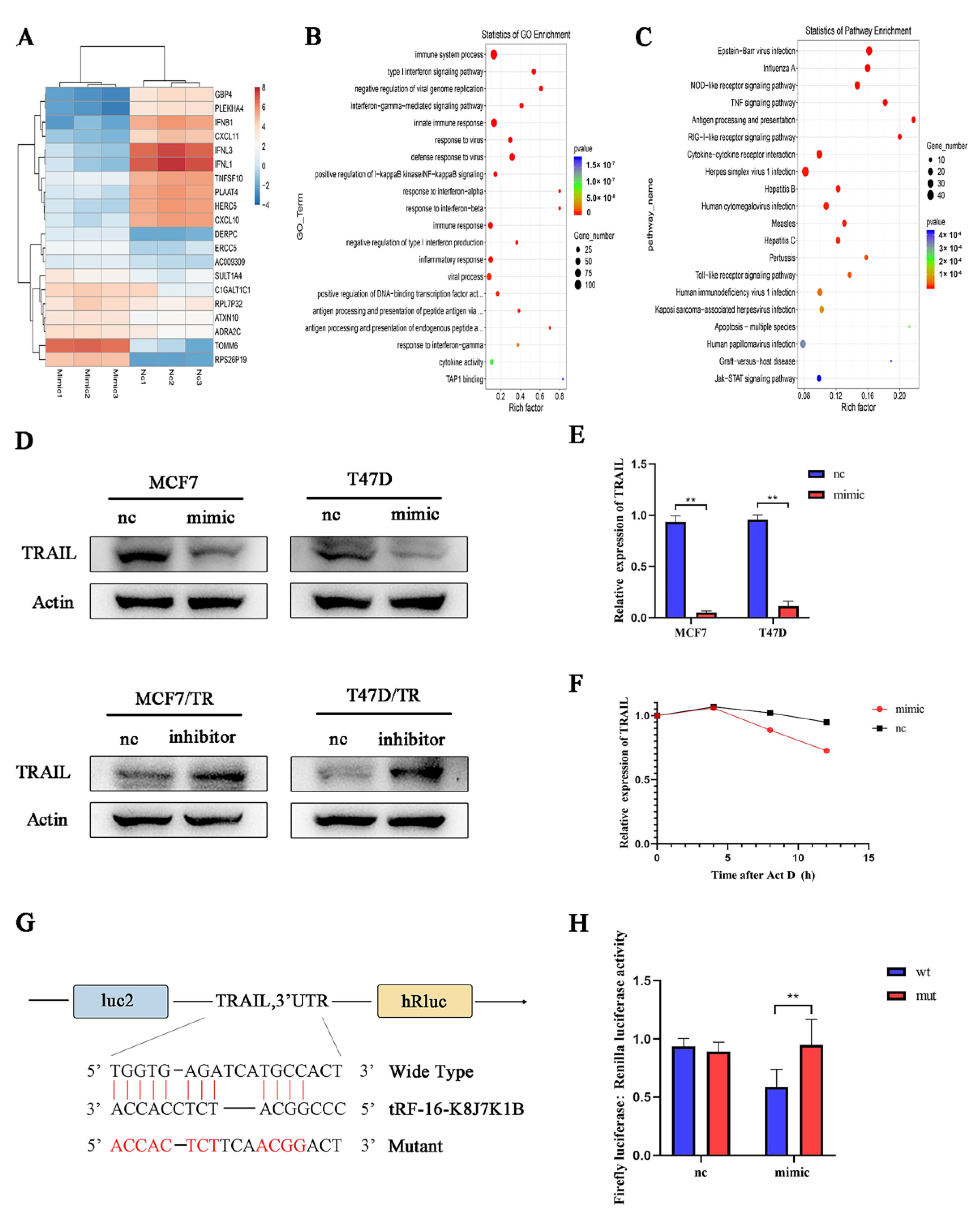 Cancers 15 00899 g004 Cancers 15 00899 g004