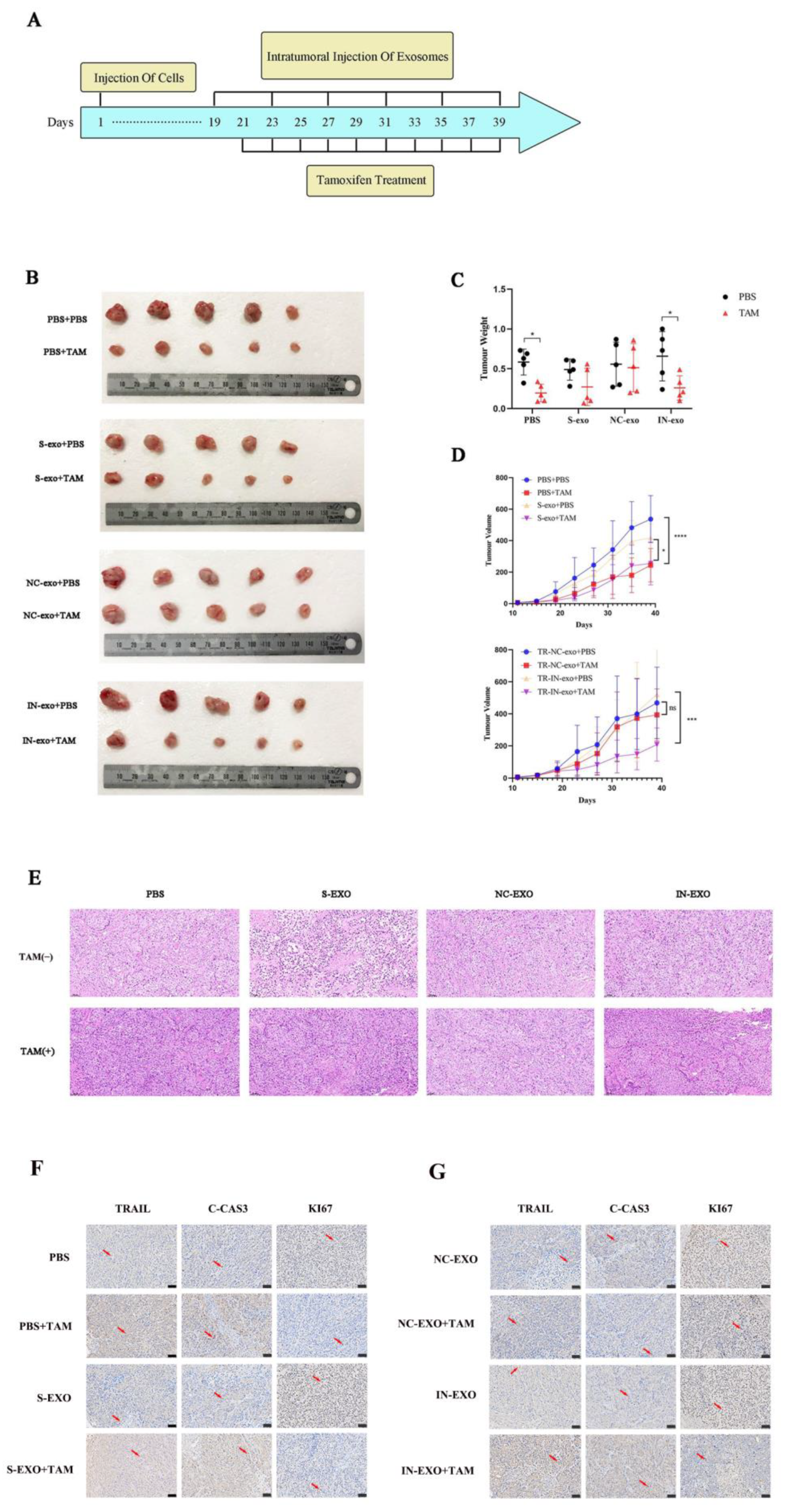 Cancers 15 00899 g006 Cancers 15 00899 g006