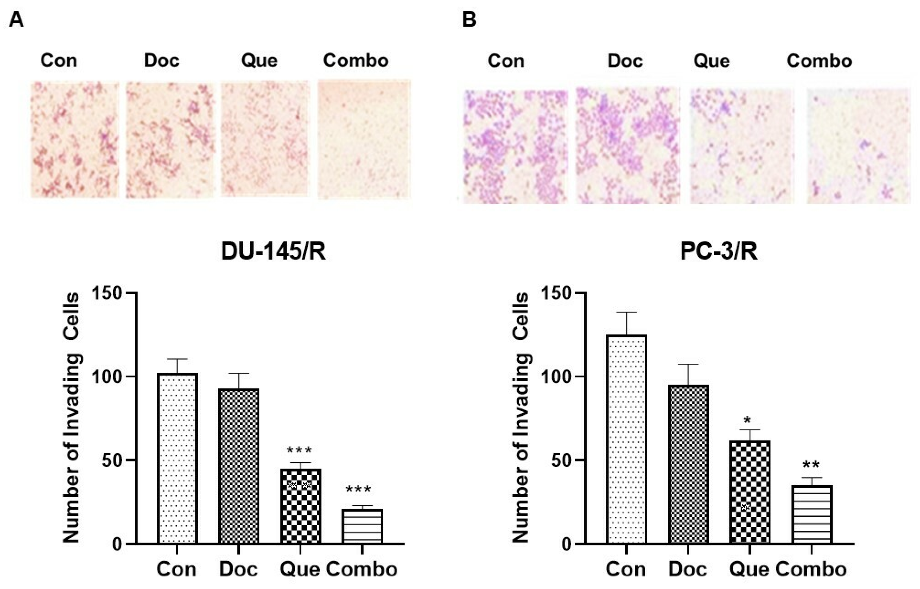 Cancers 15 00902 g005
