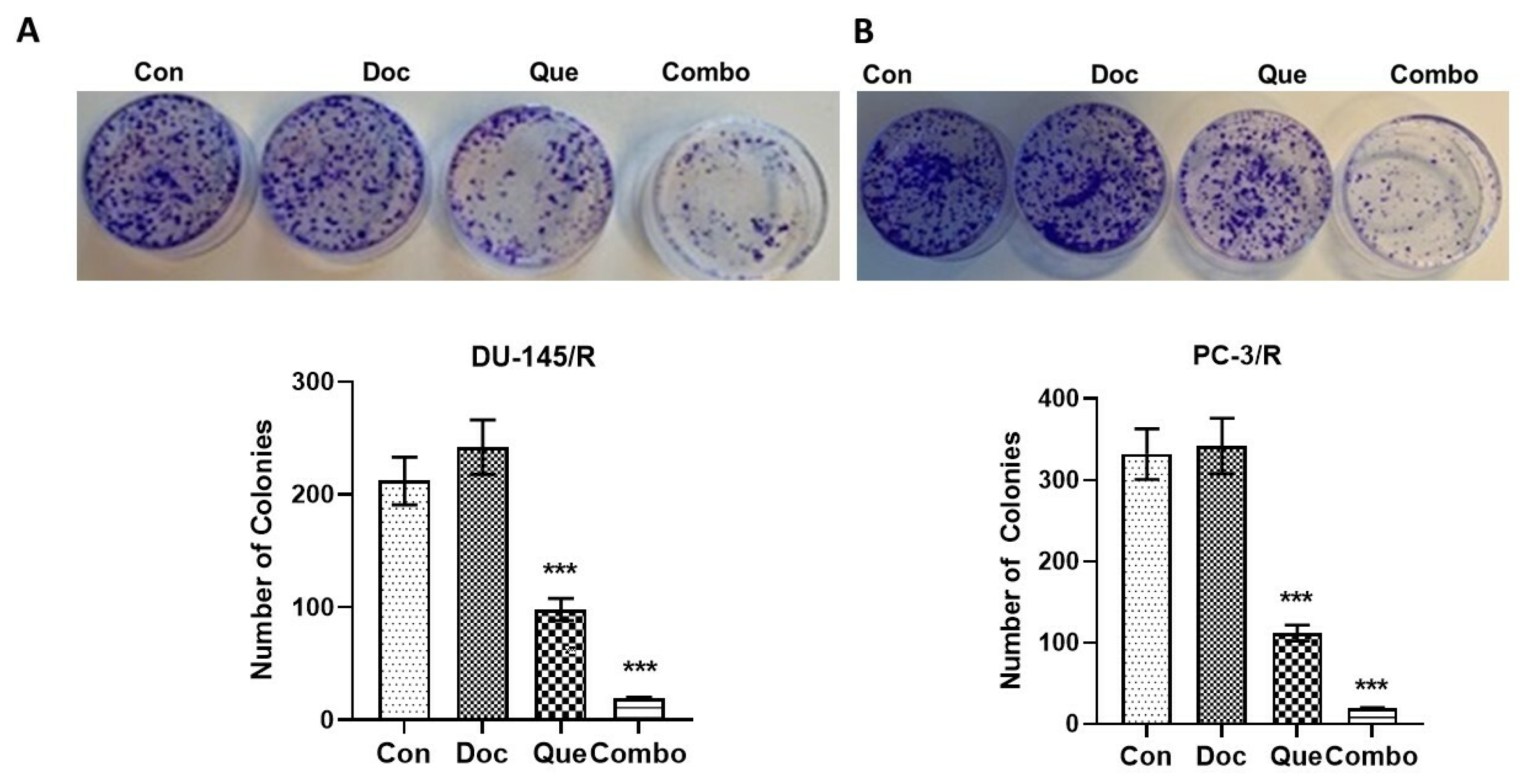 Cancers 15 00902 g006
