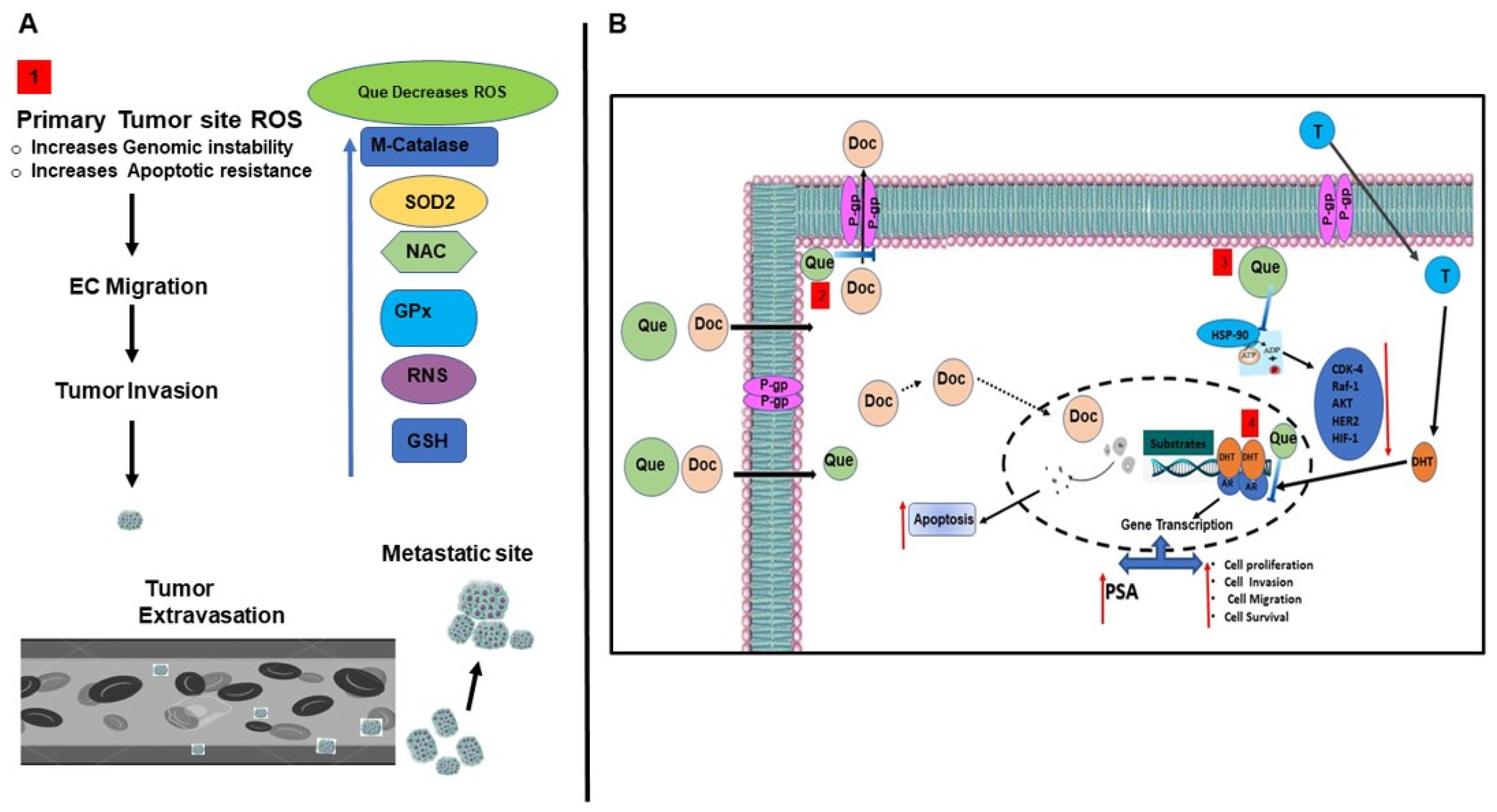 Cancers 15 00902 g008