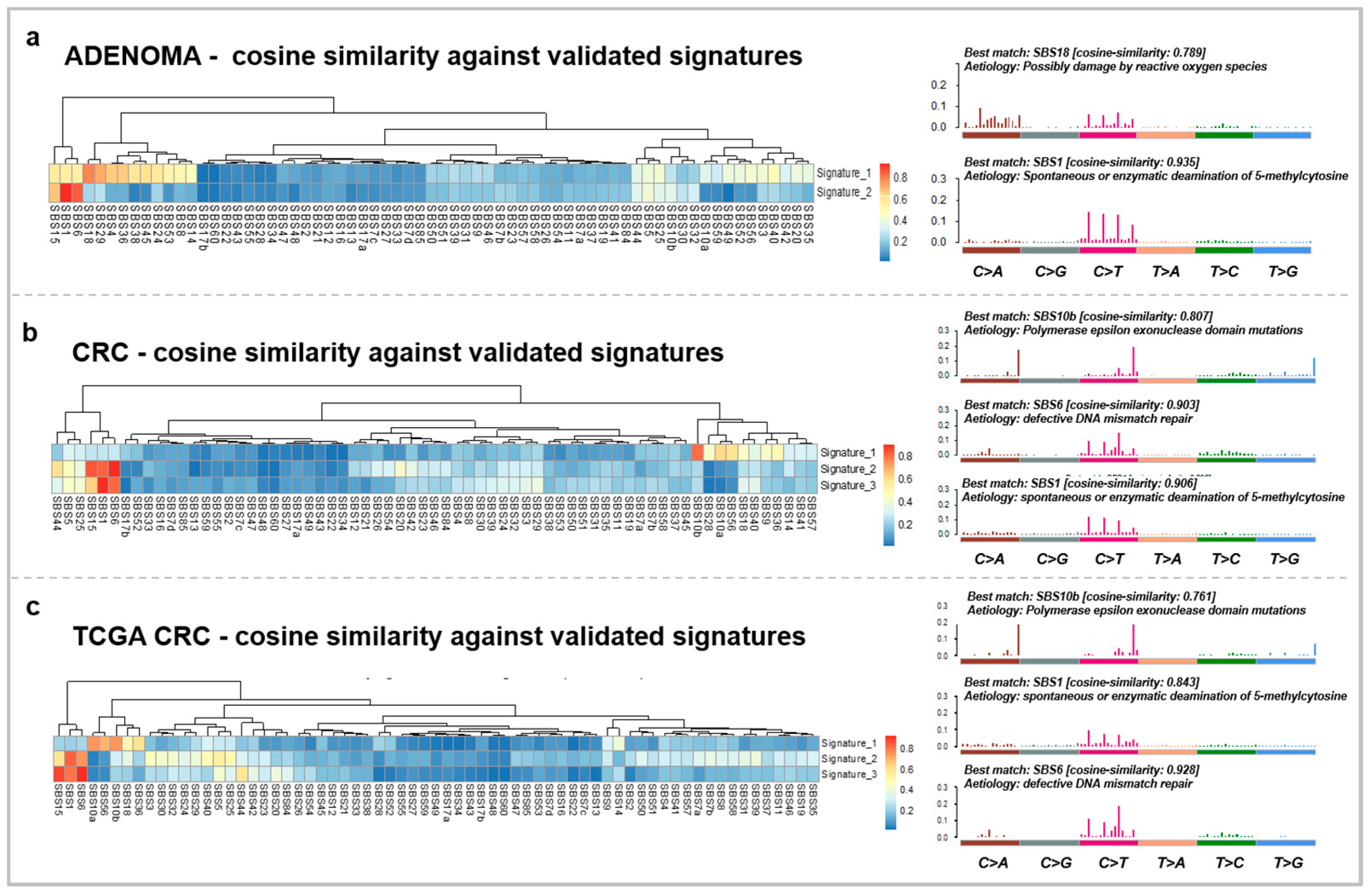 Cancers 15 00907 g002 Cancers 15 00907 g002