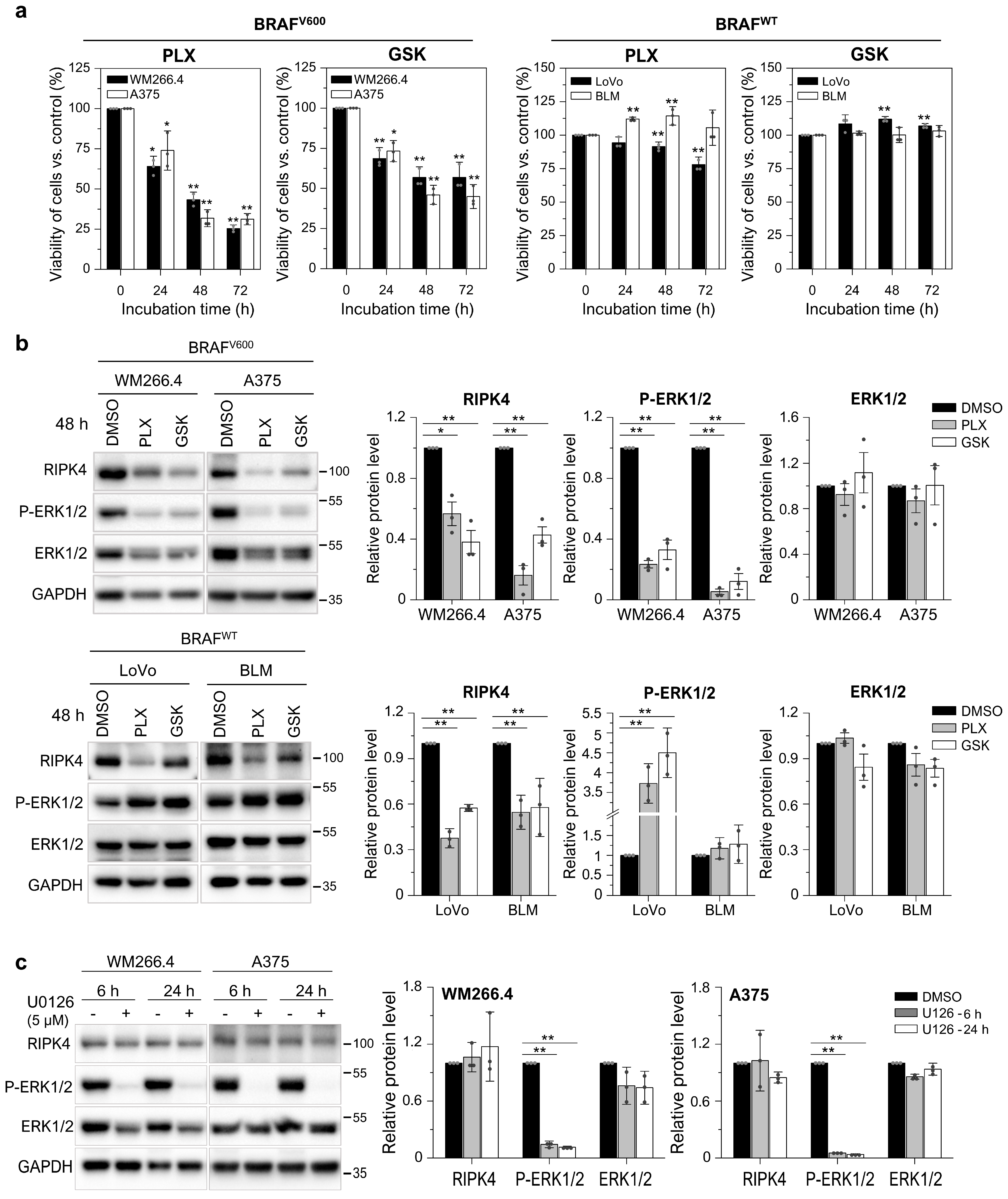 Cancers 15 00918 g003