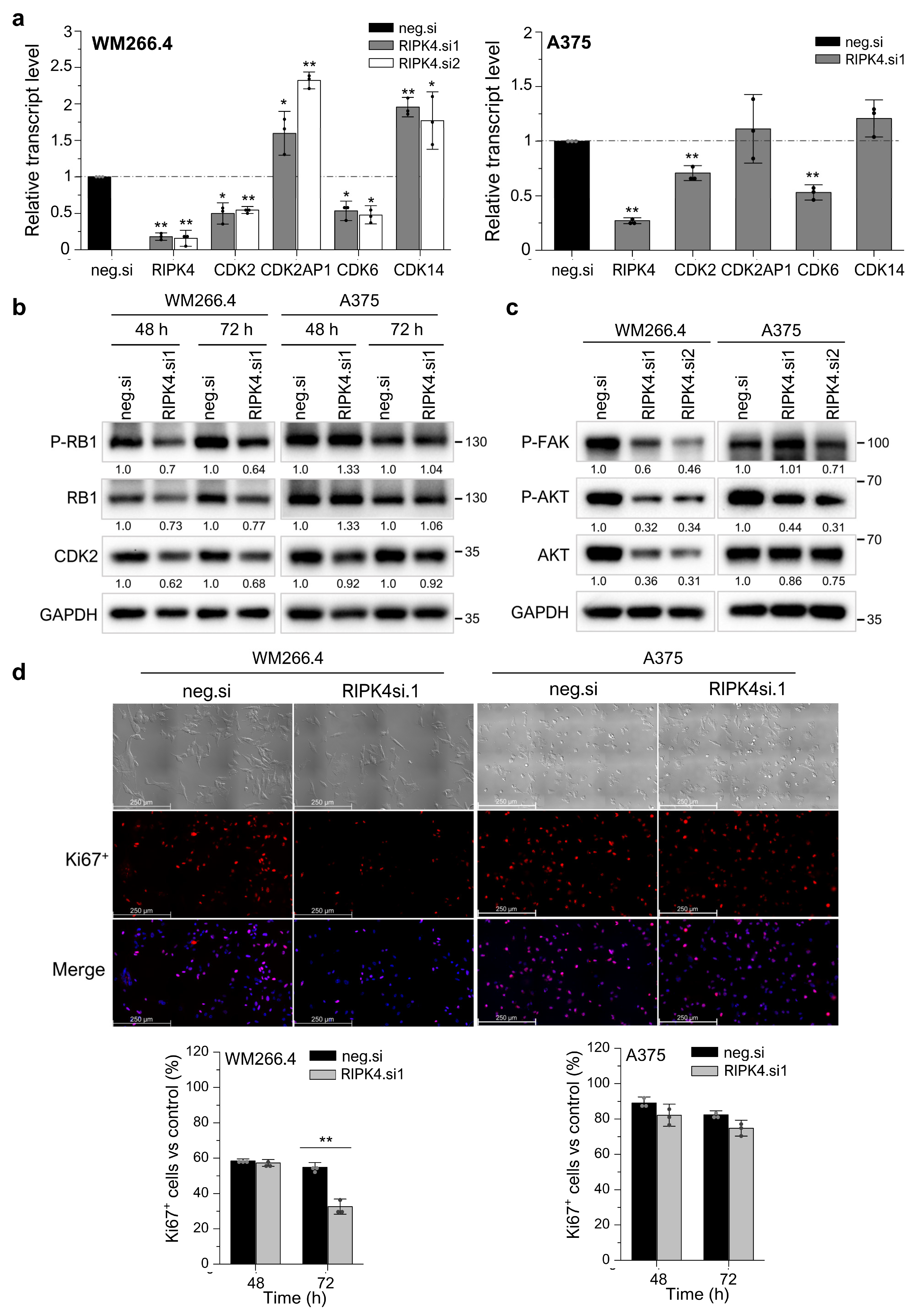Cancers 15 00918 g007
