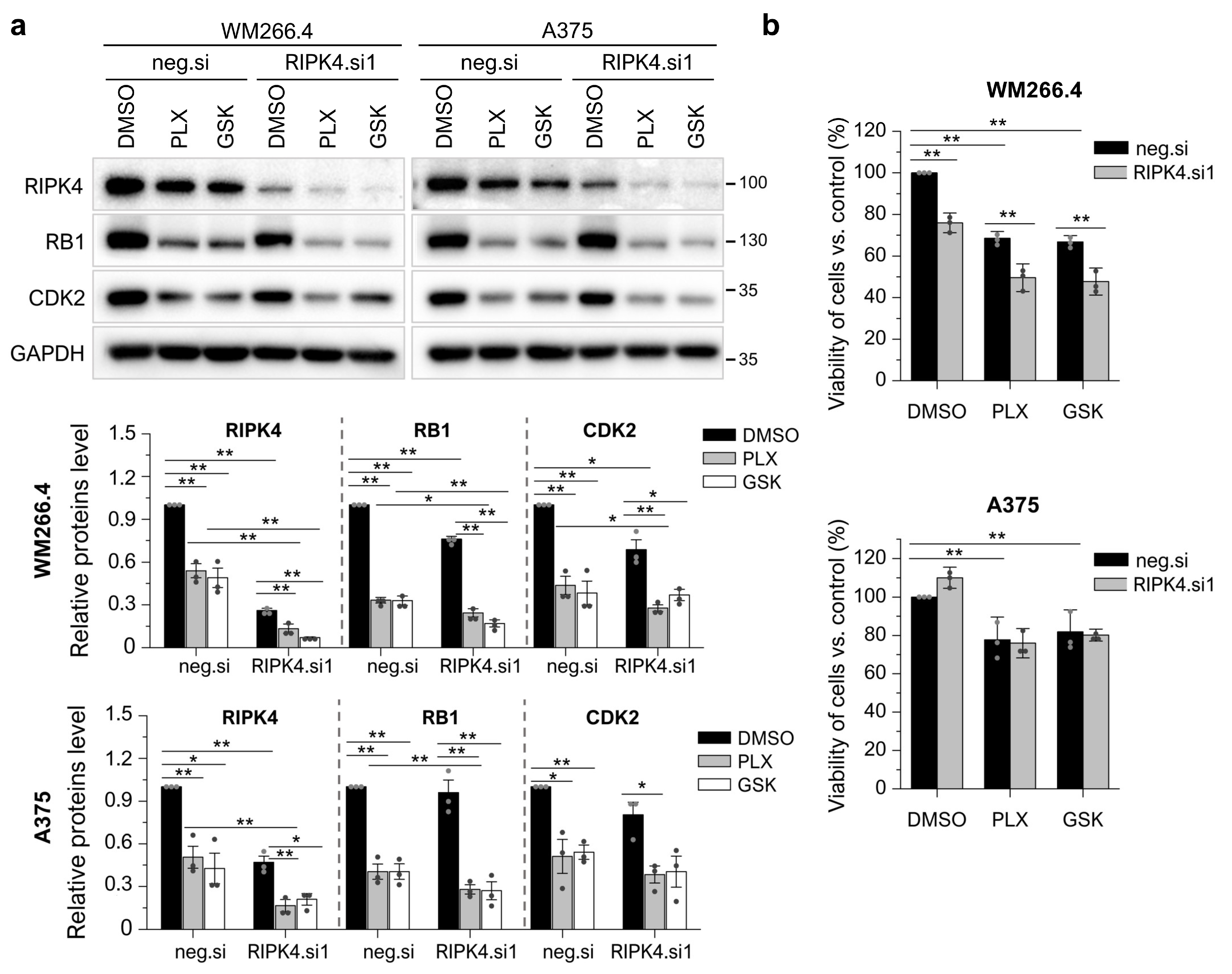 Cancers 15 00918 g008
