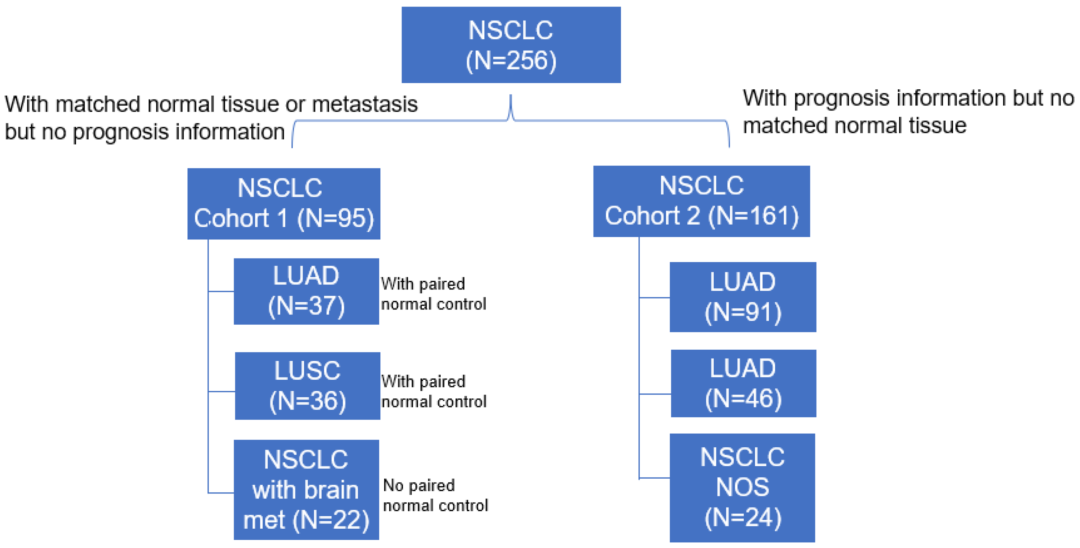 Cancers 15 00924 g001