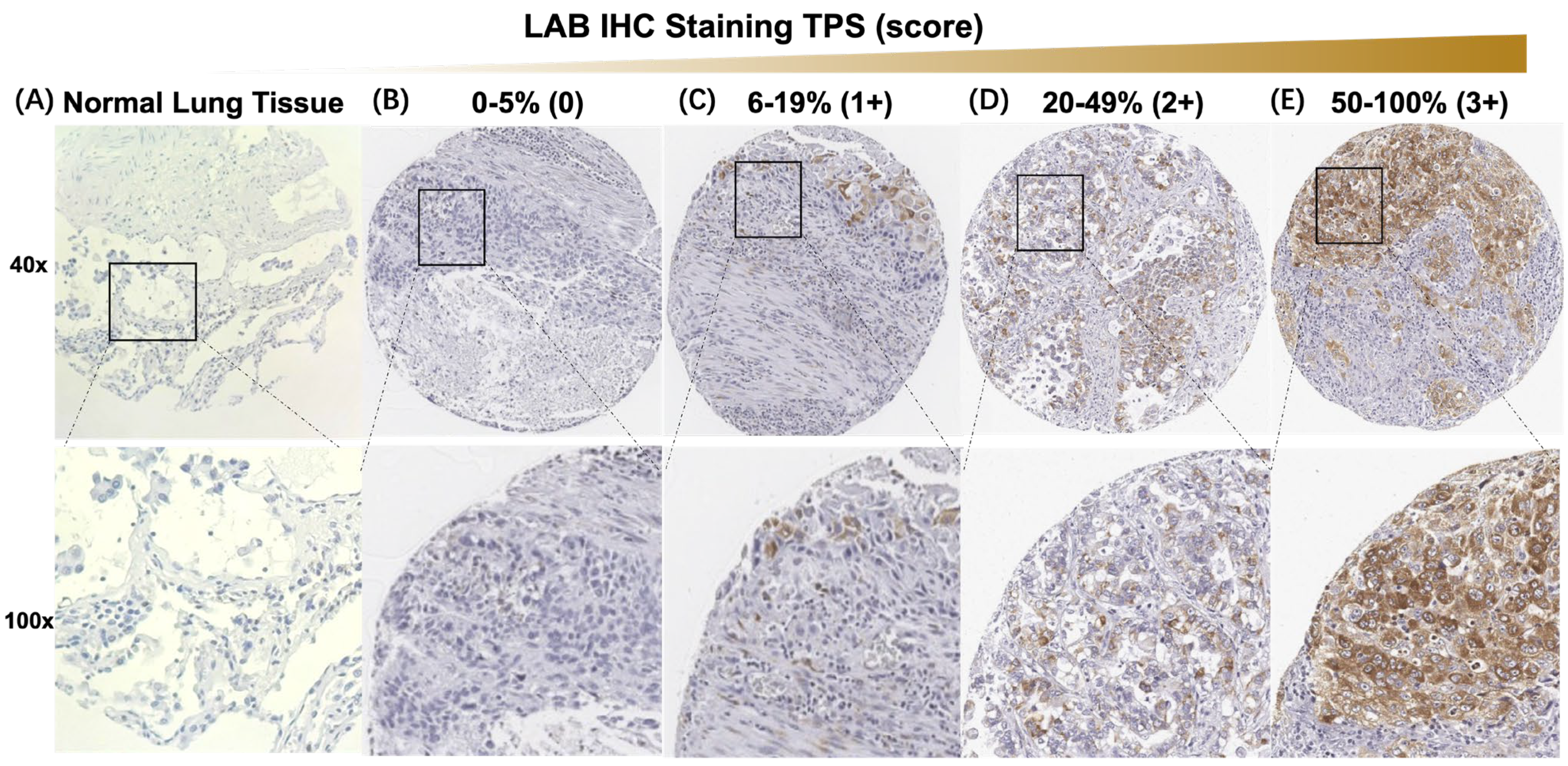 Cancers 15 00924 g002