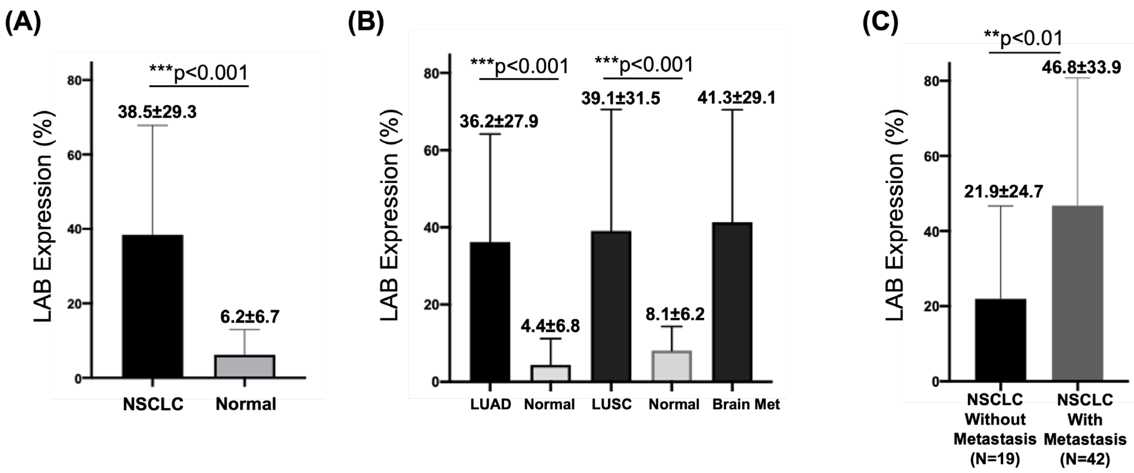 Cancers 15 00924 g003