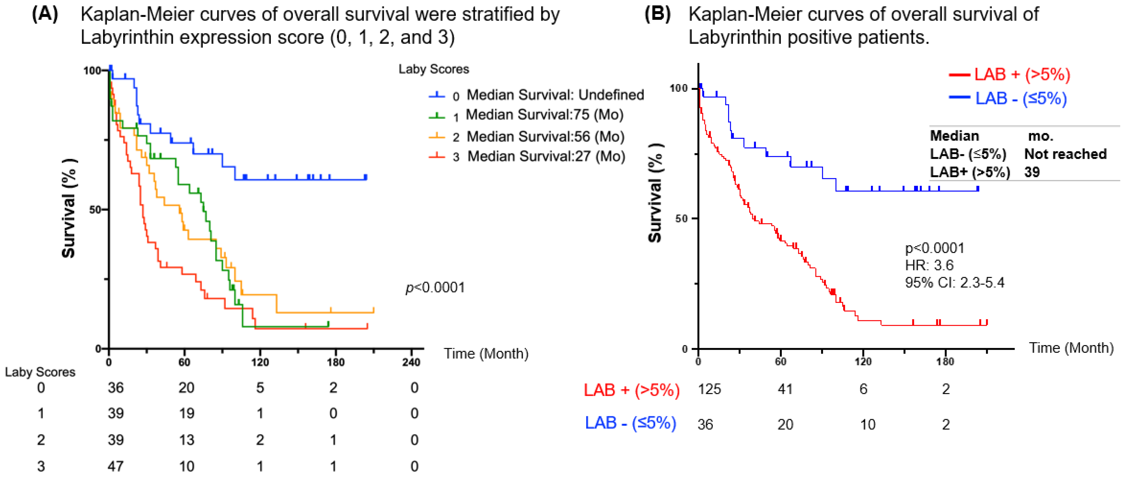 Cancers 15 00924 g004