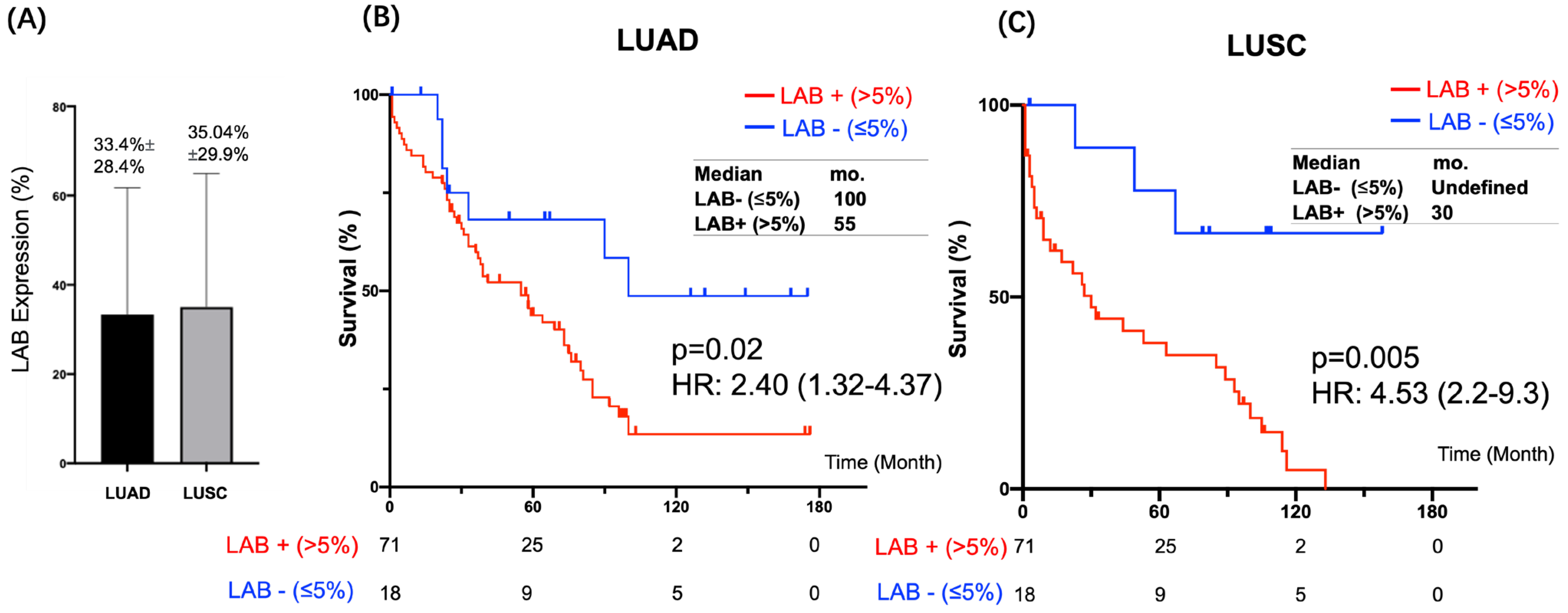 Cancers 15 00924 g005