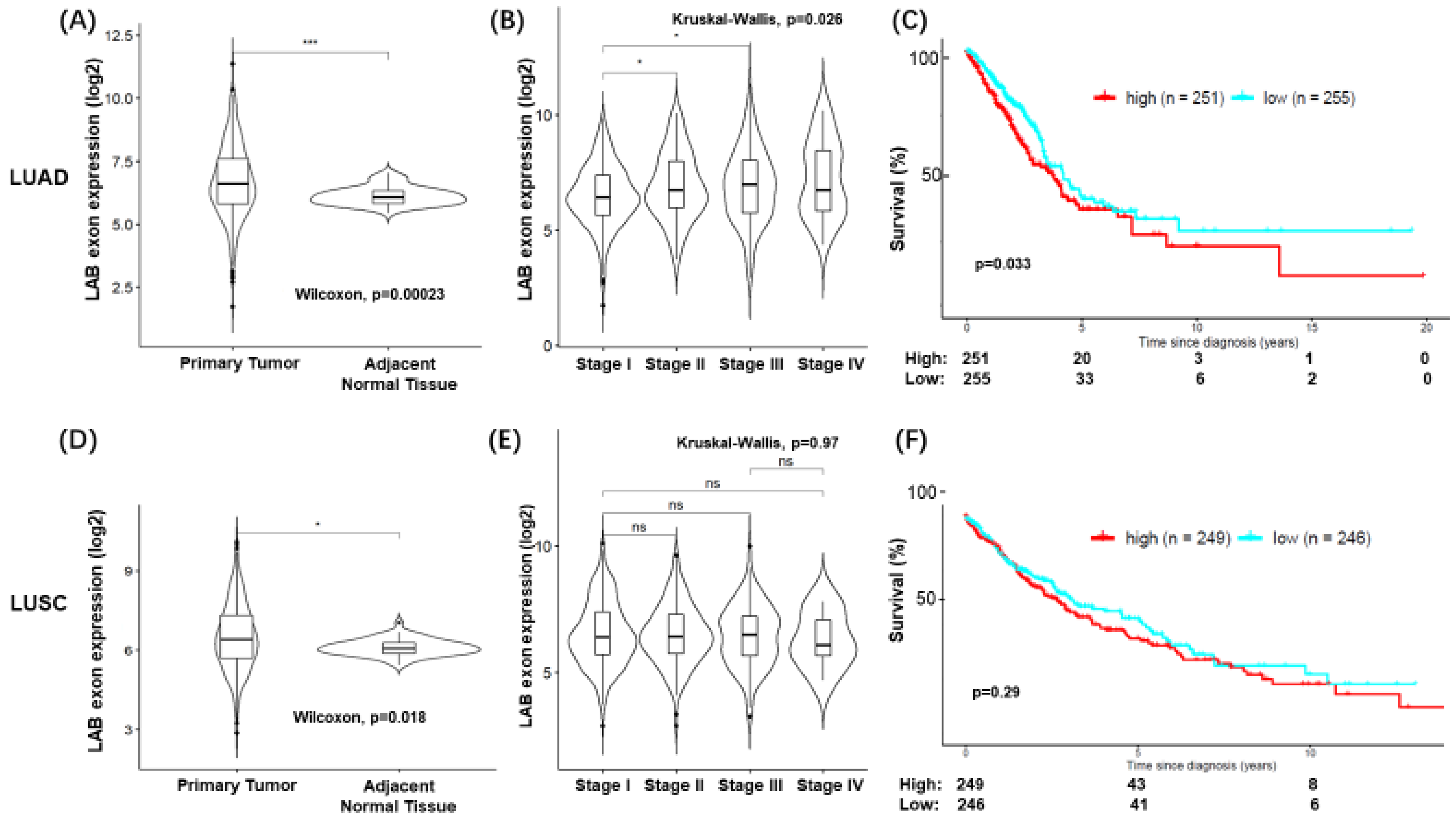 Cancers 15 00924 g006