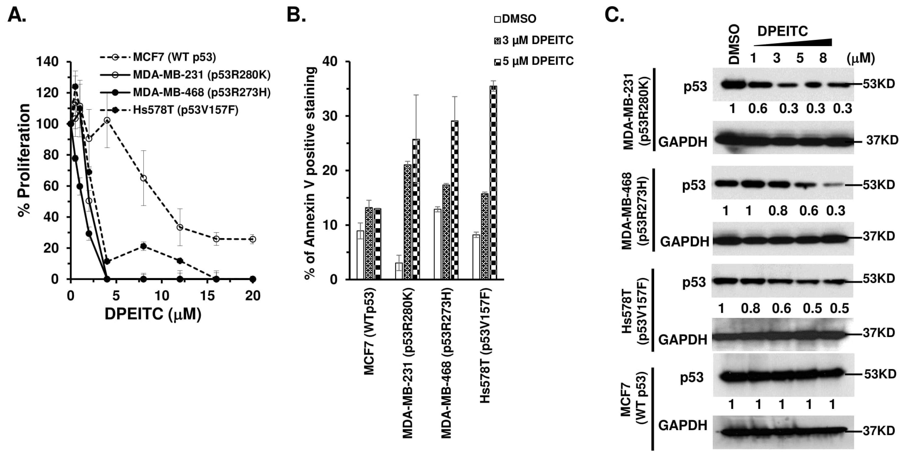 Cancers 15 00928 g001