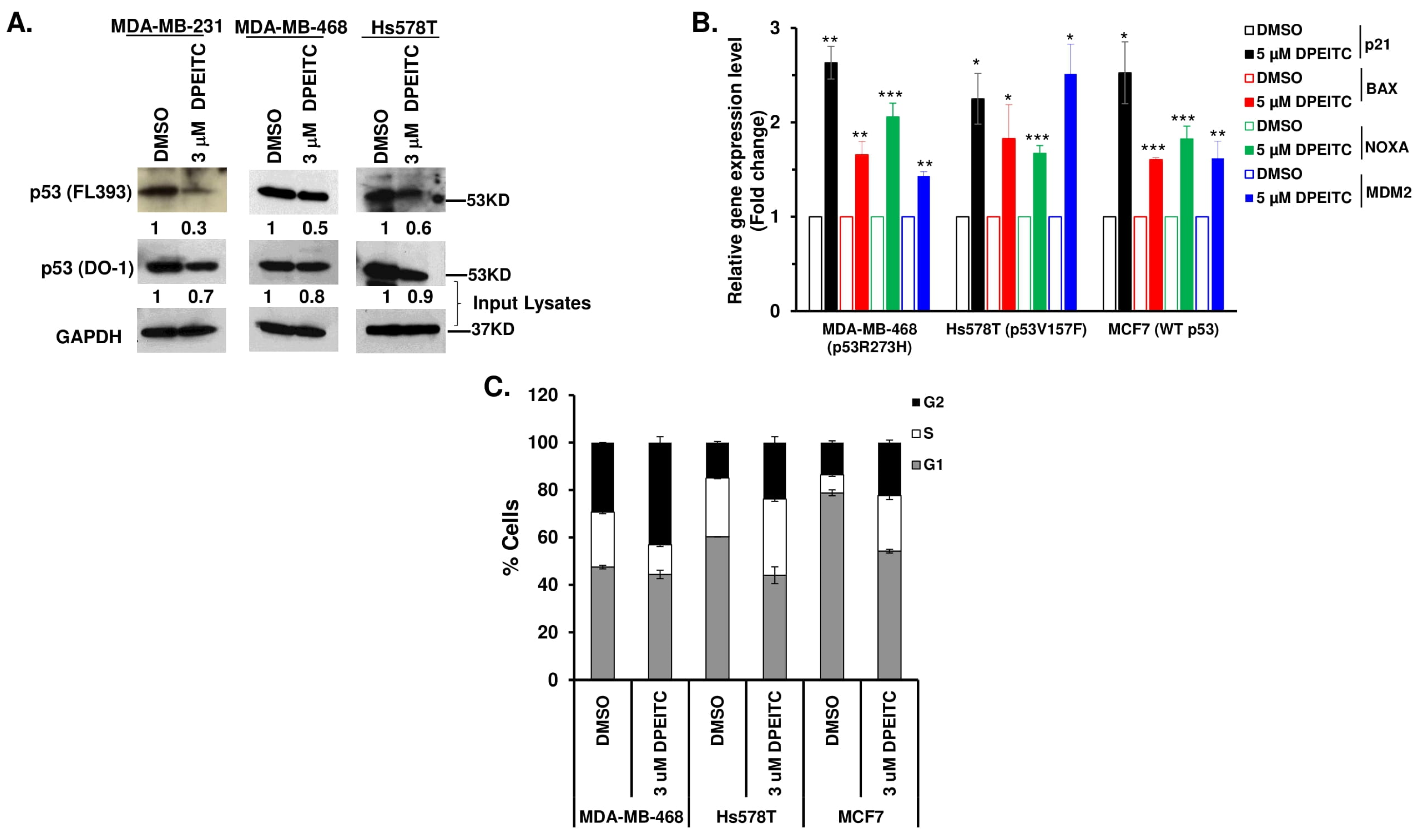 Cancers 15 00928 g002