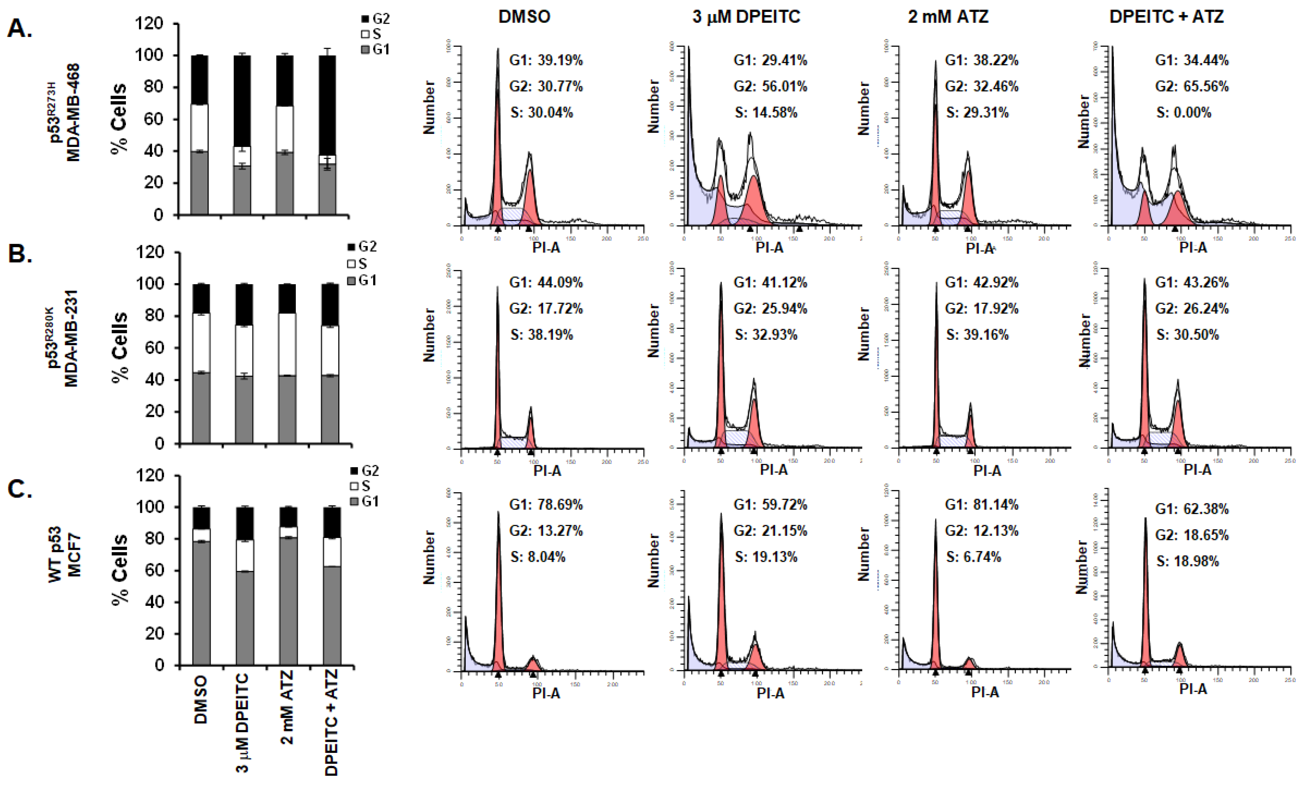 Cancers 15 00928 g003