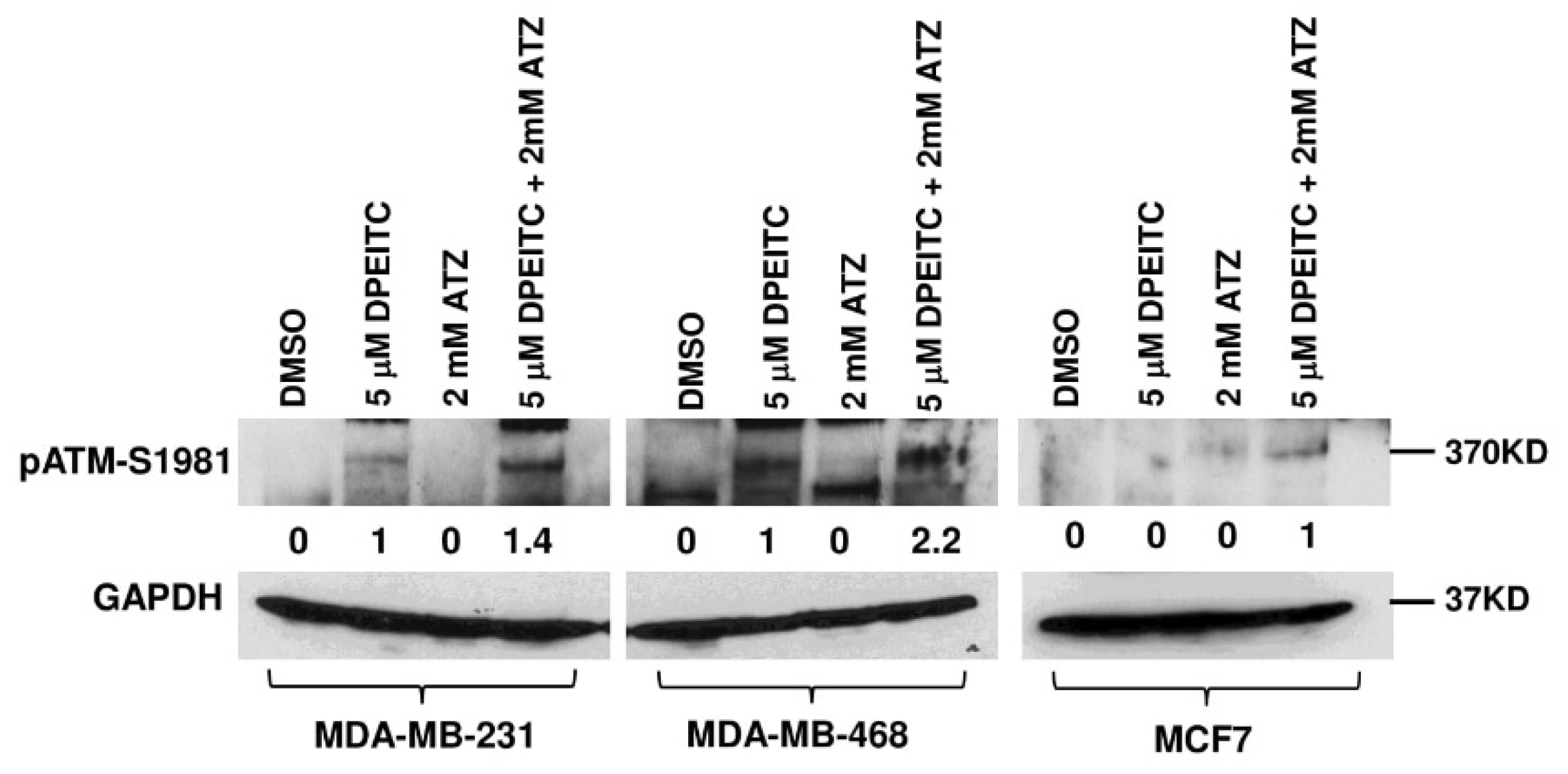 Cancers 15 00928 g004