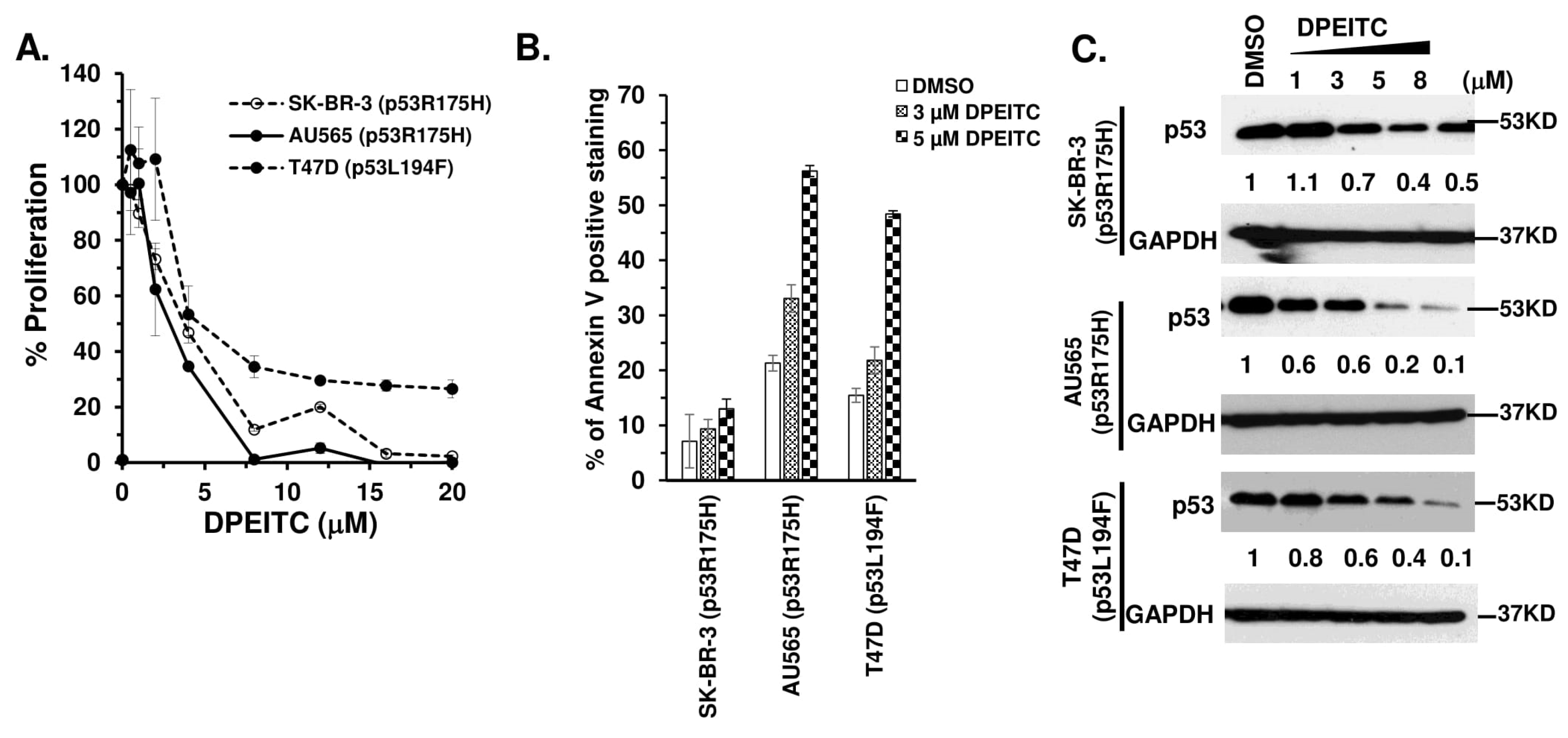 Cancers 15 00928 g005