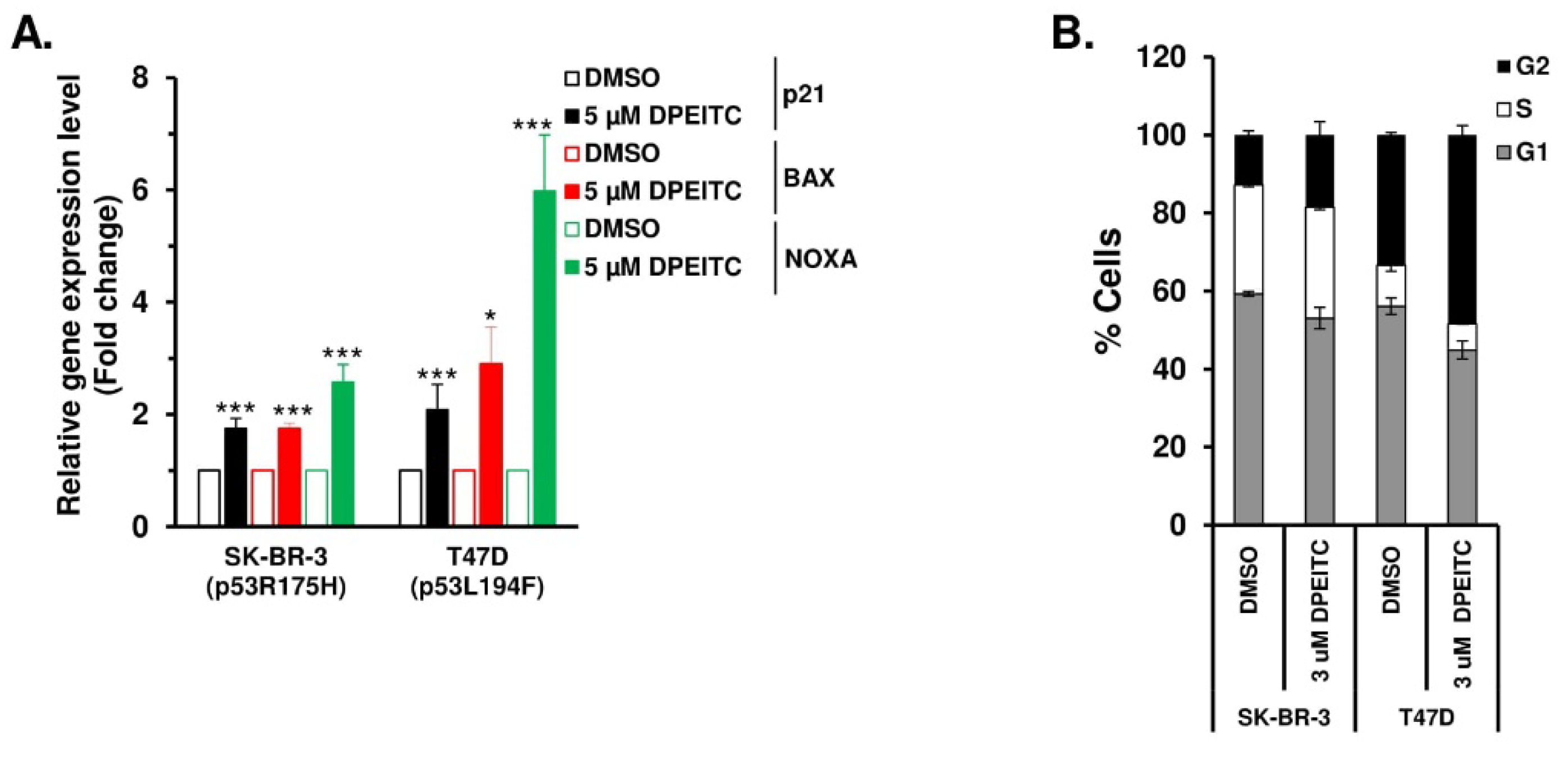 Cancers 15 00928 g006