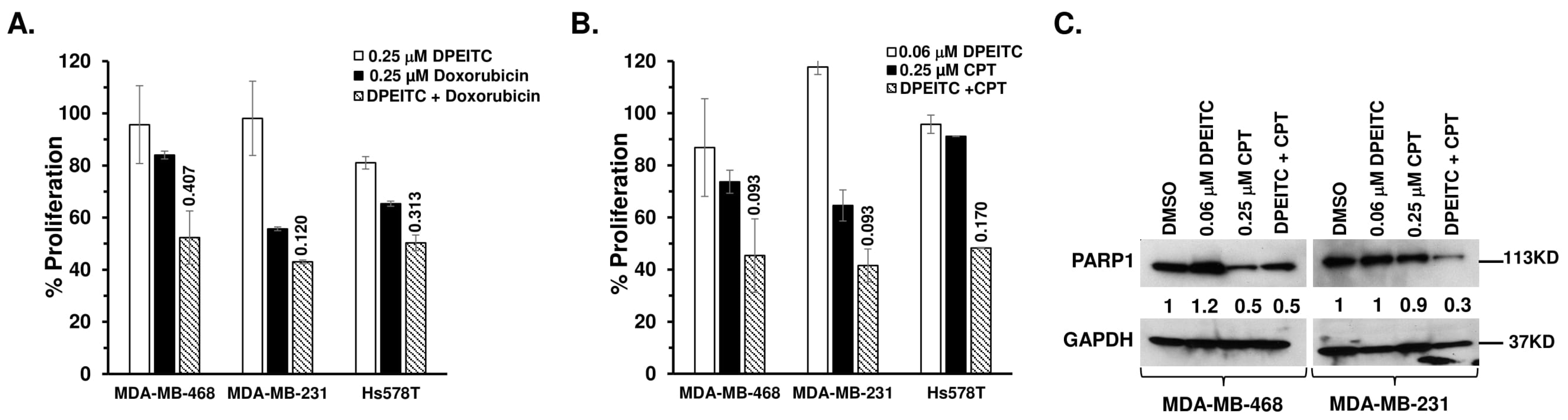 Cancers 15 00928 g007