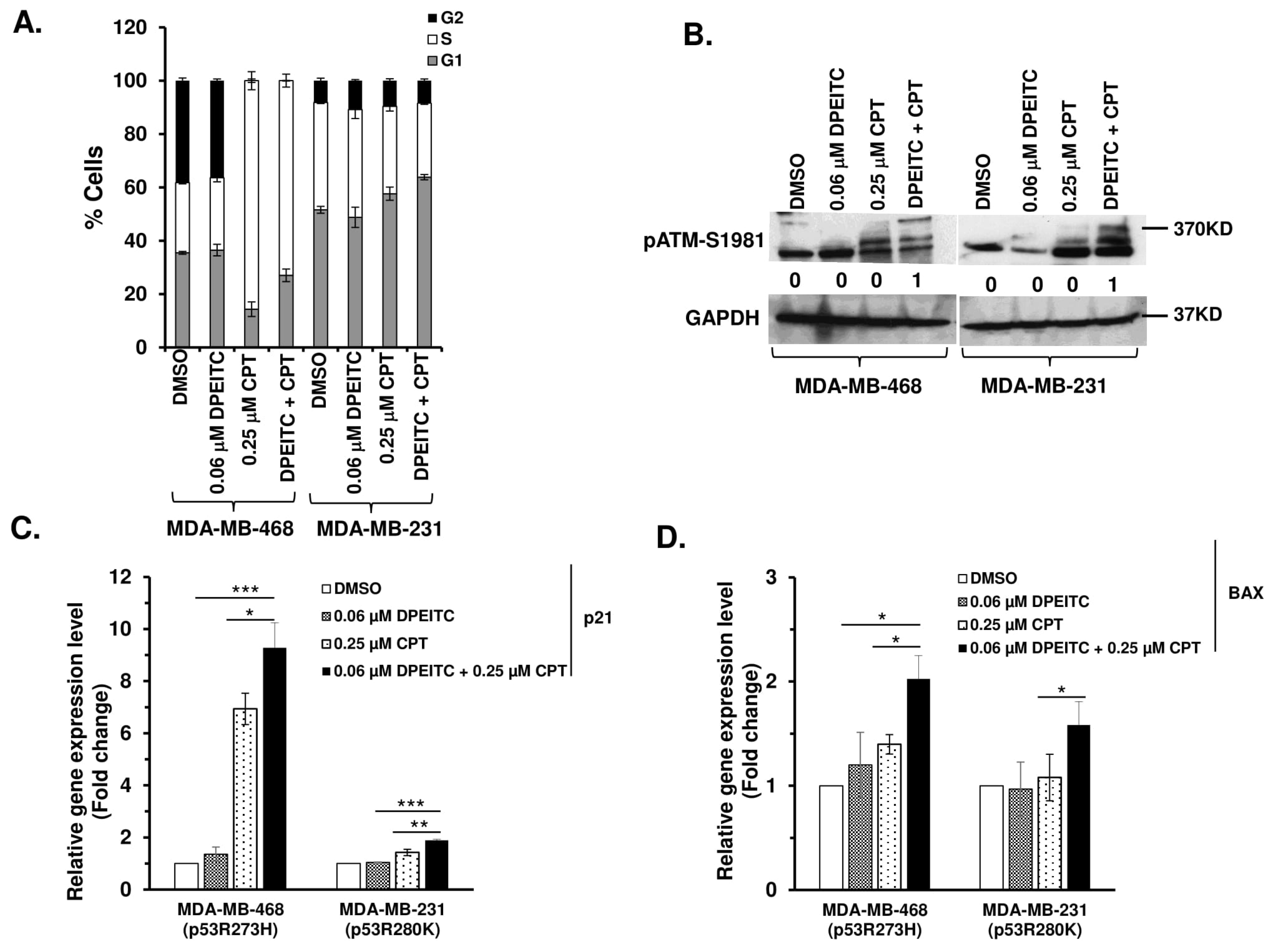 Cancers 15 00928 g008