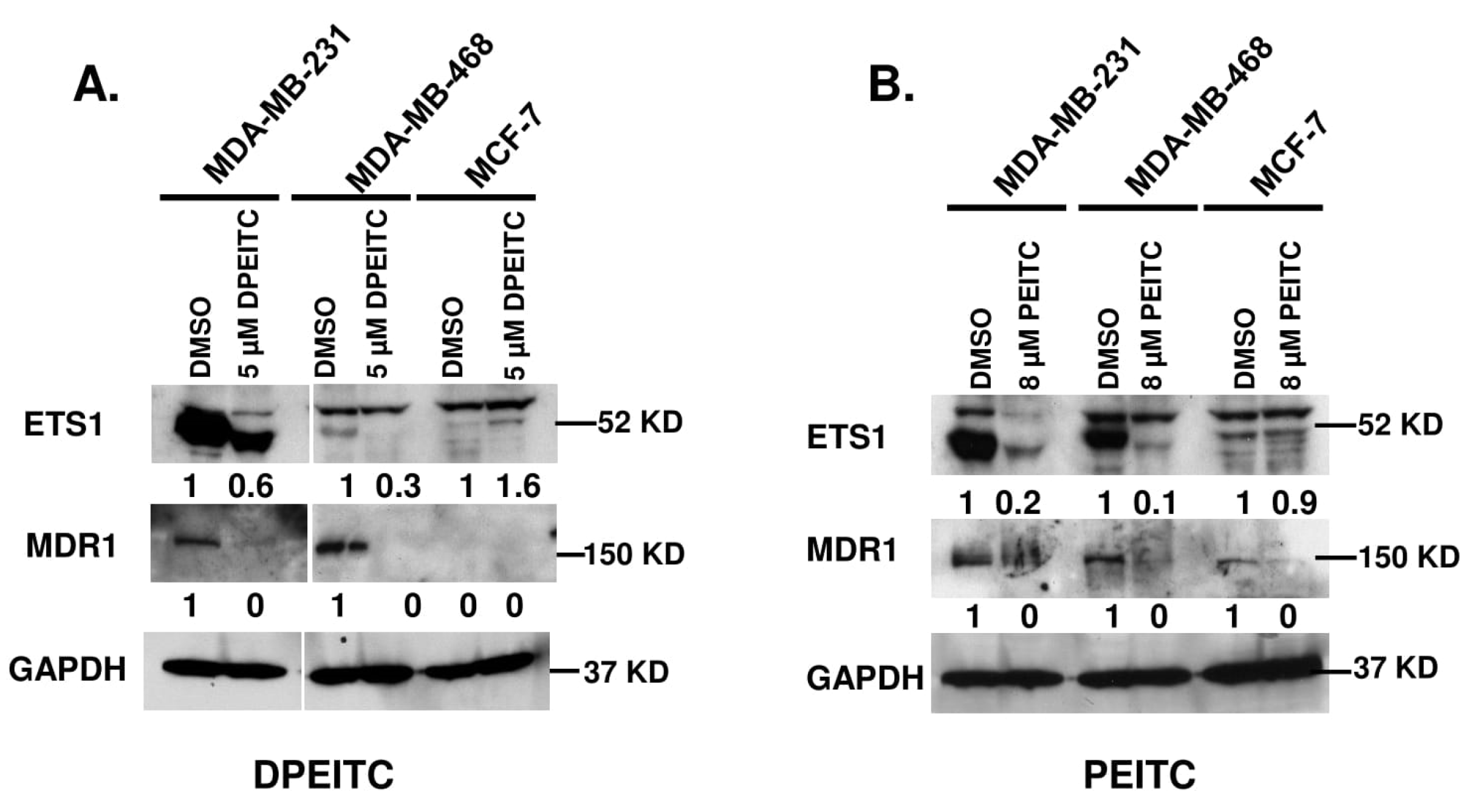Cancers 15 00928 g009