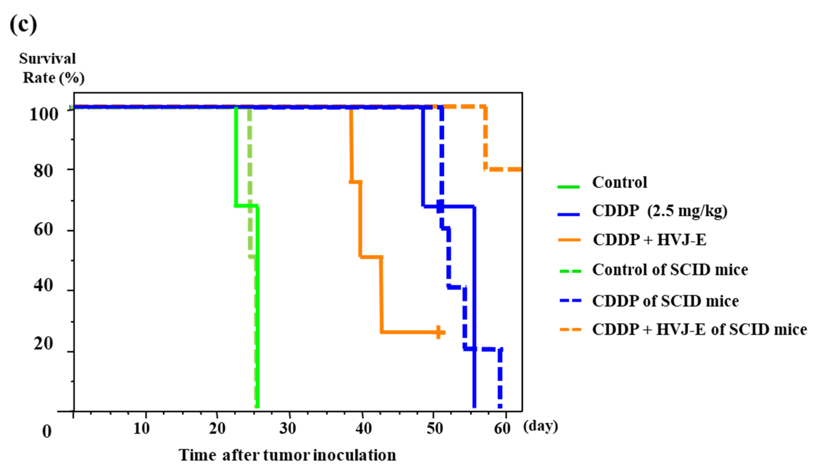 Cancers 15 00929 g002b