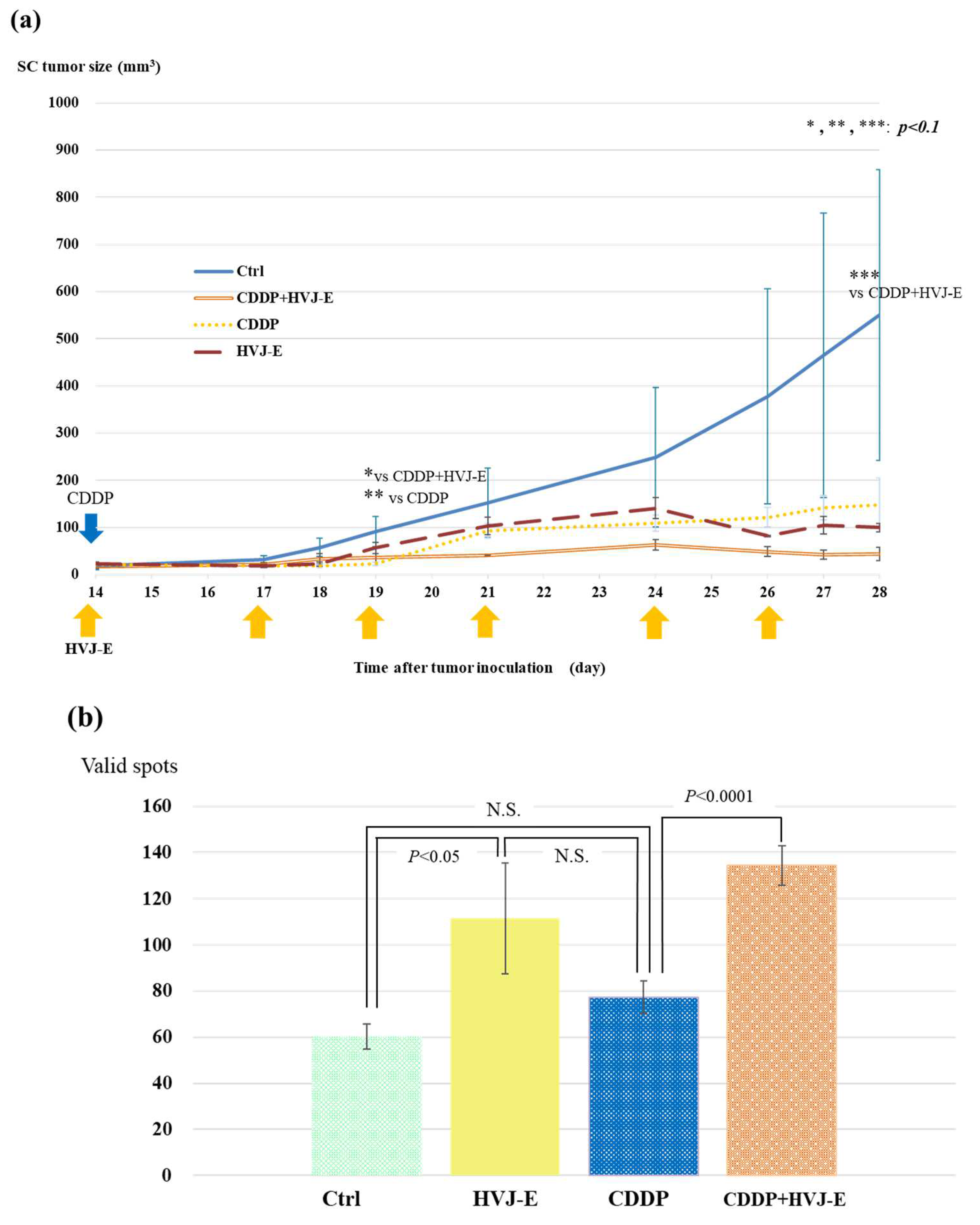 Cancers 15 00929 g004