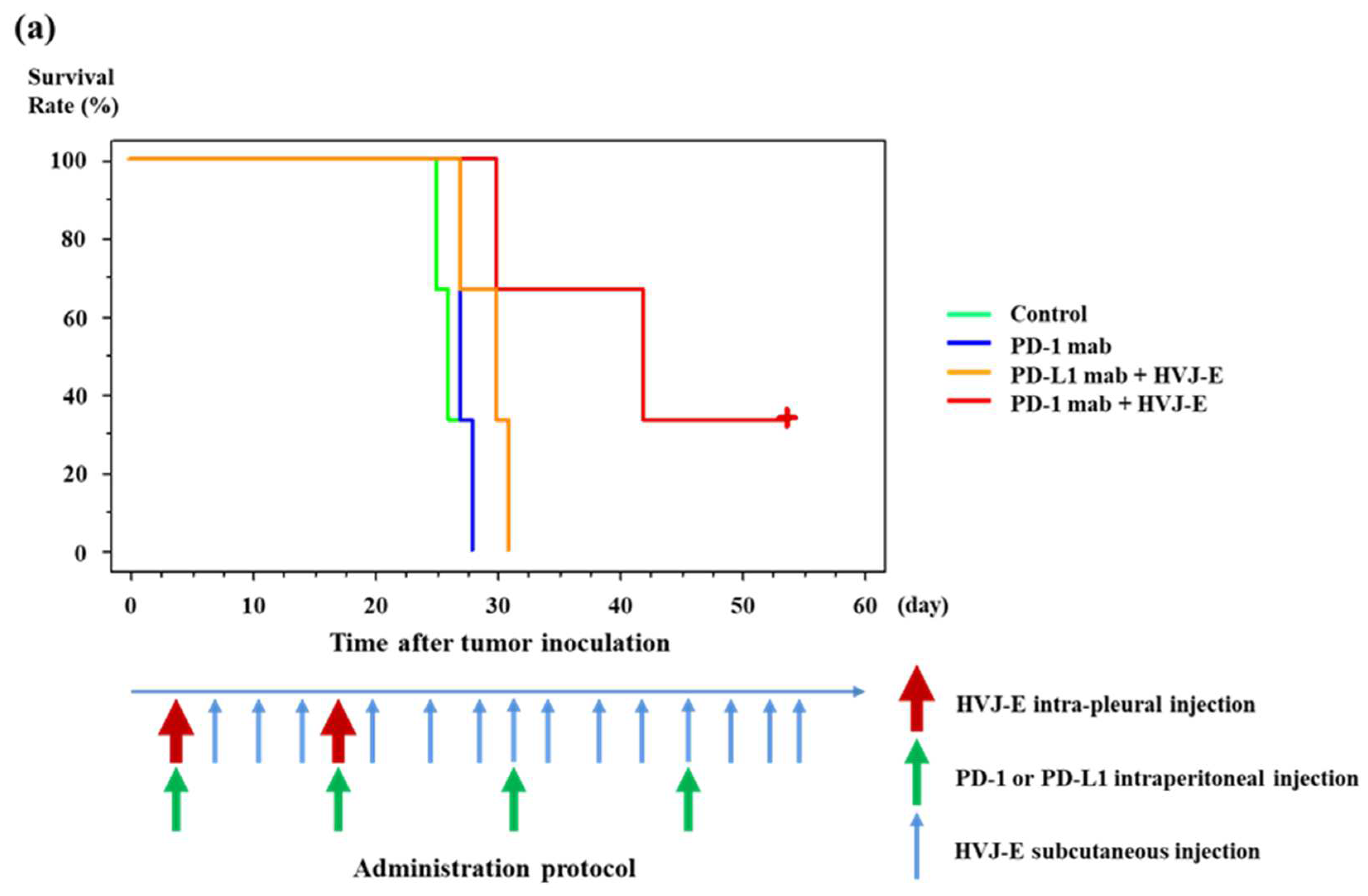 Cancers 15 00929 g005a