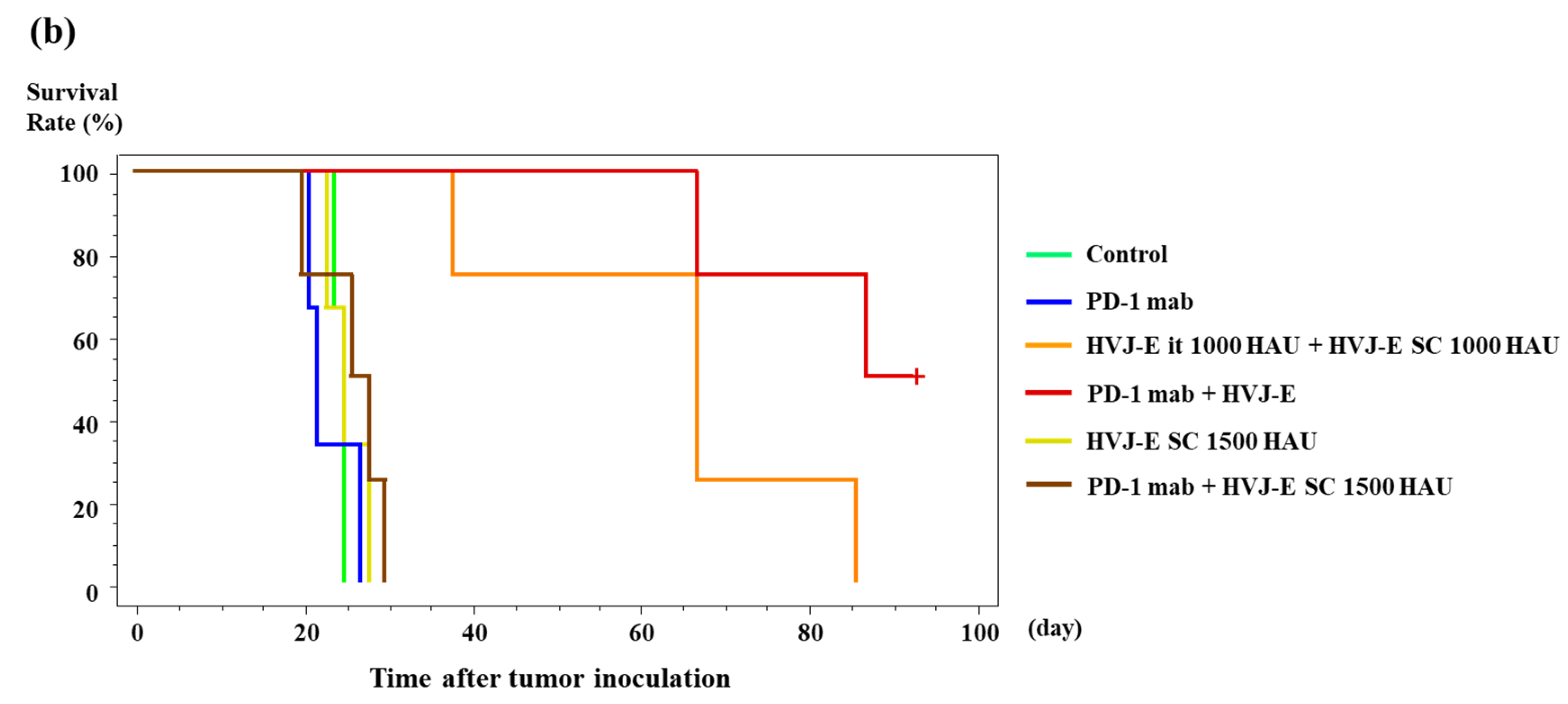 Cancers 15 00929 g005b