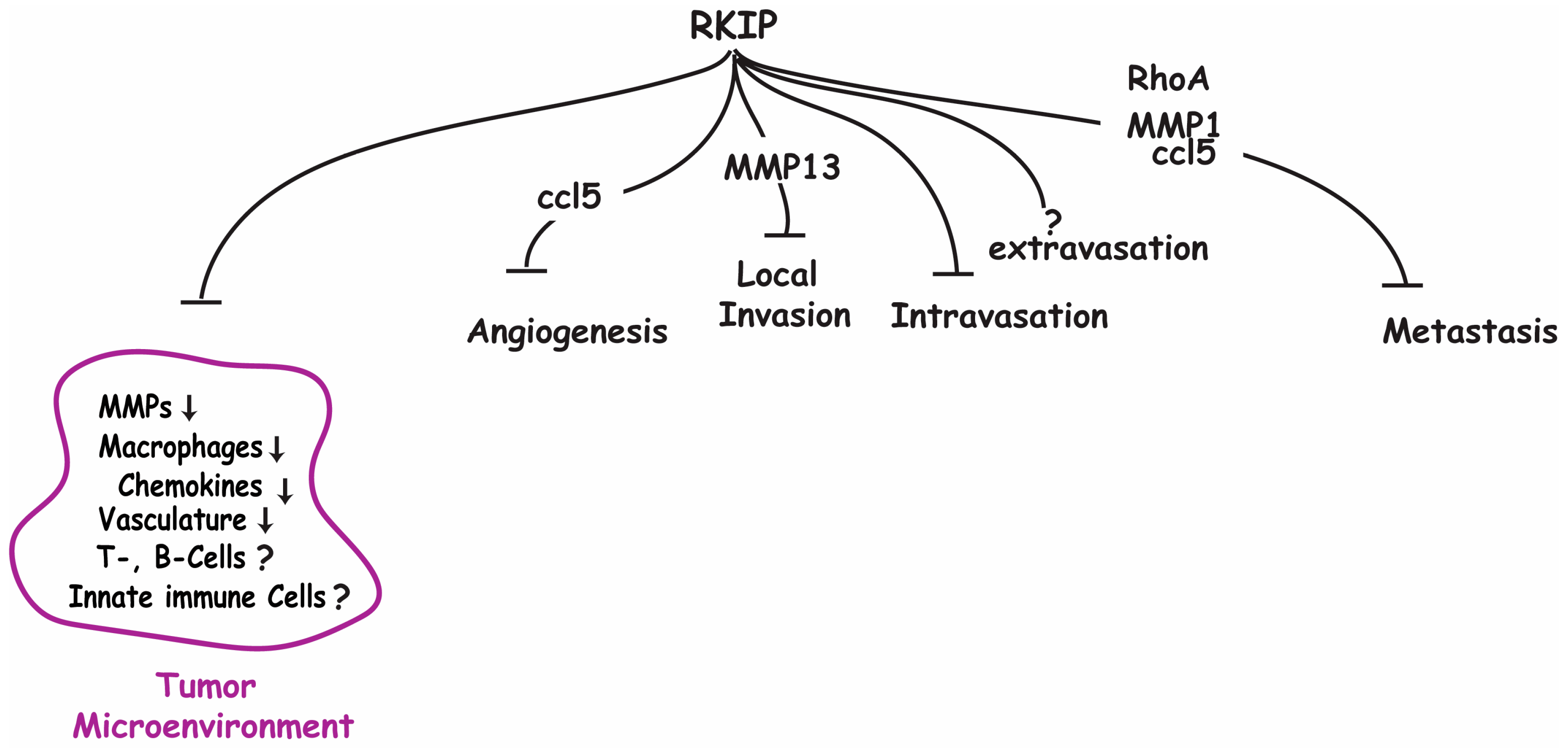 Cancers 15 00958 g002