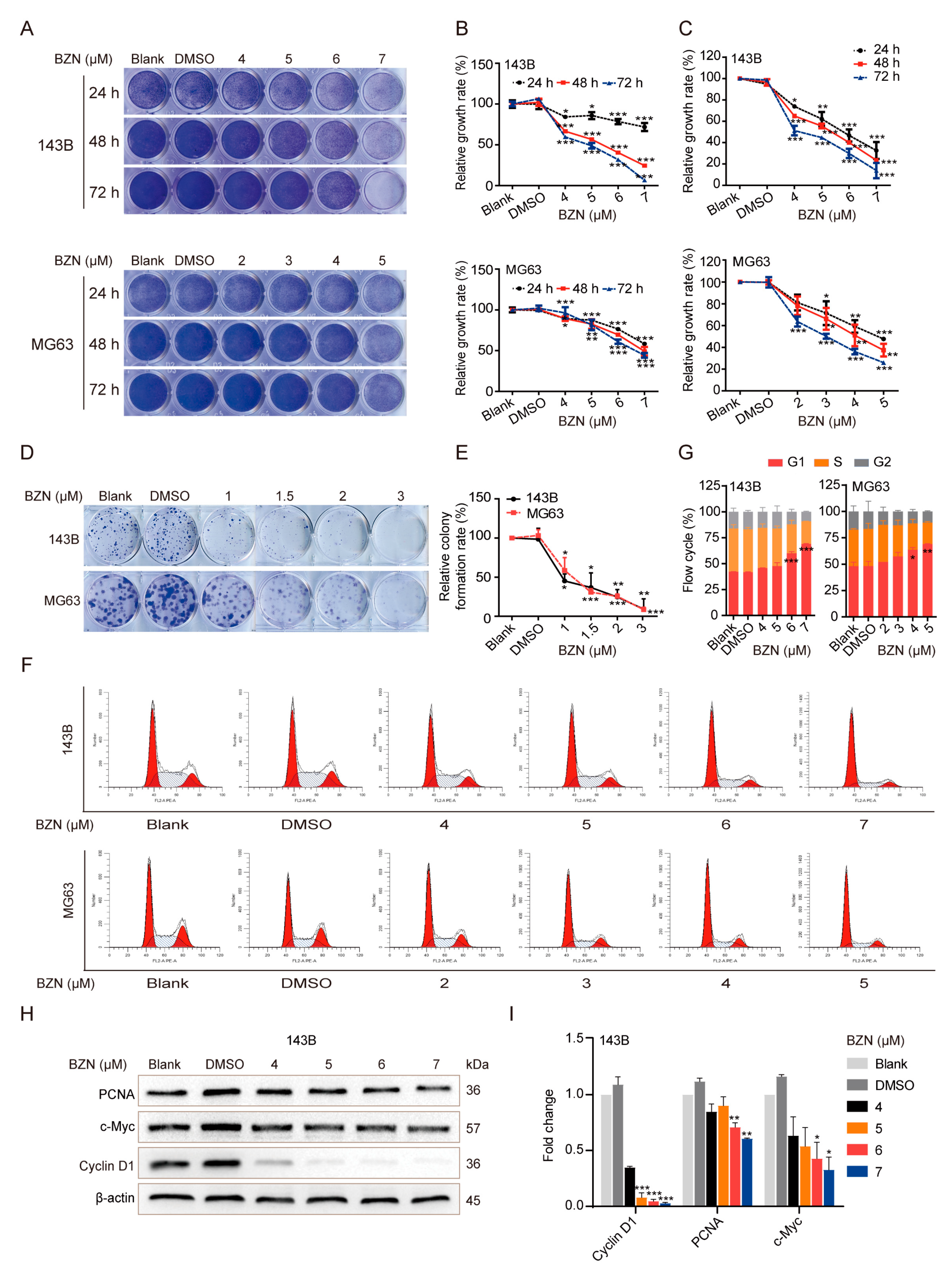 Cancers 15 00961 g001