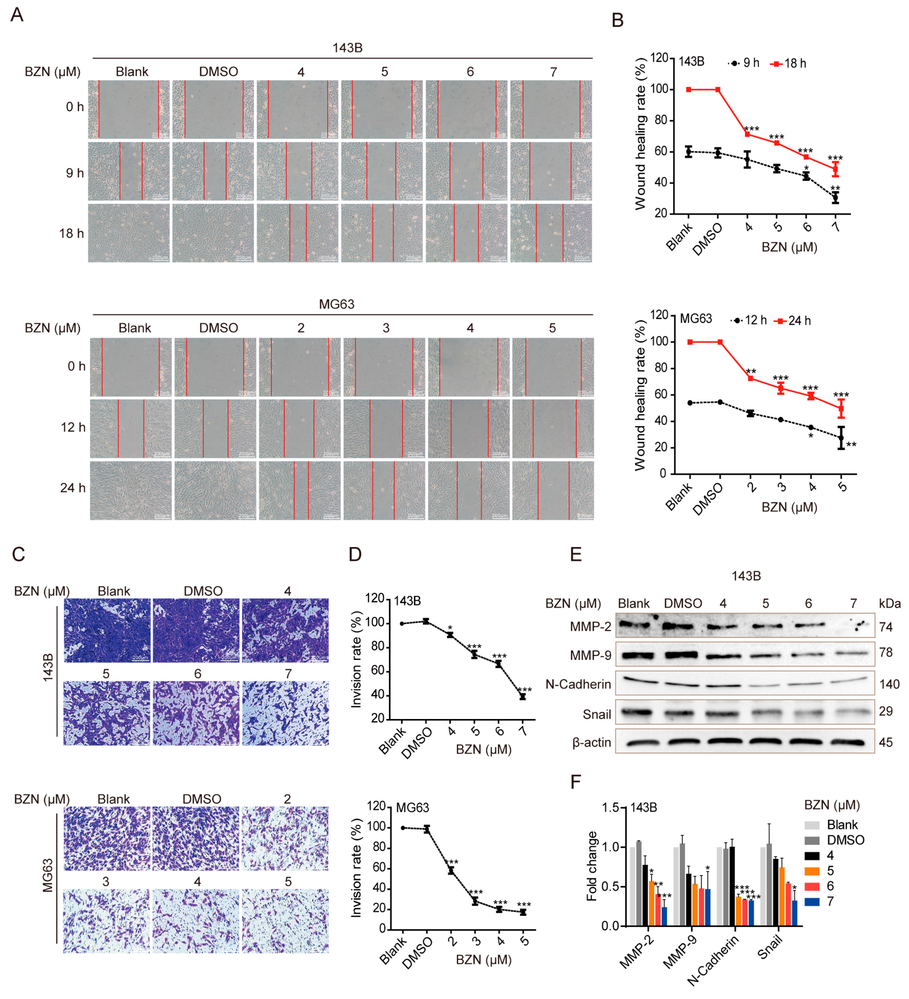 Cancers 15 00961 g002