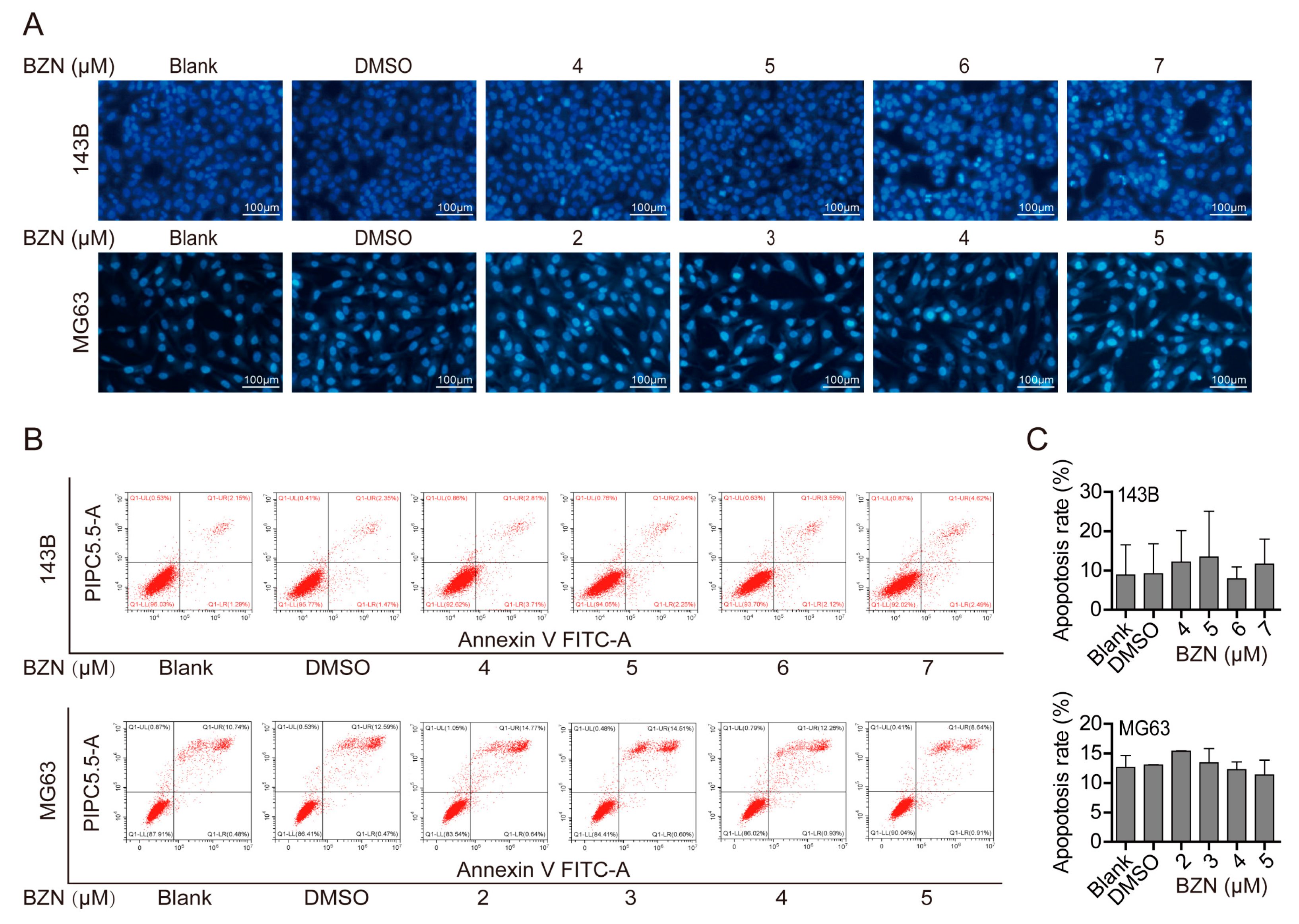 Cancers 15 00961 g003