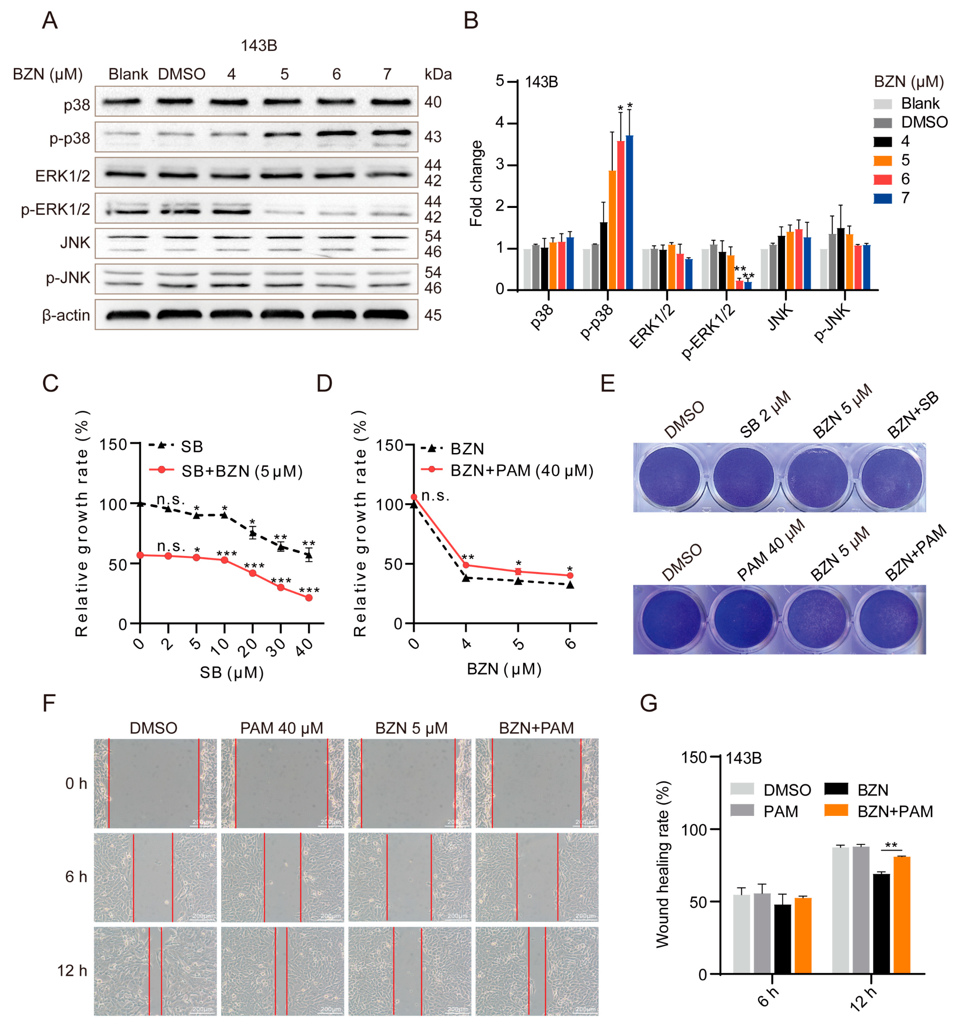 Cancers 15 00961 g004