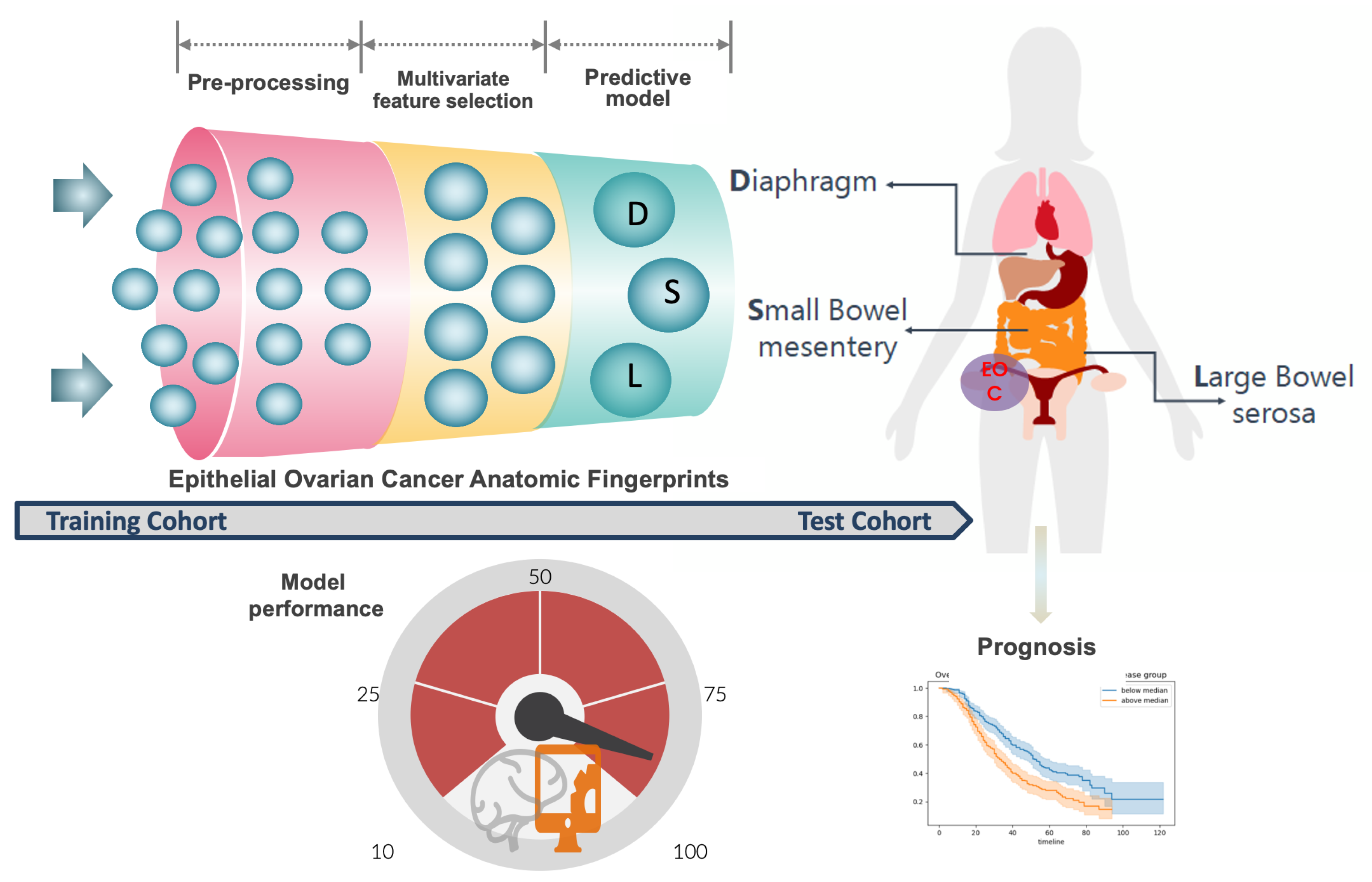 Cancers 15 00966 g008