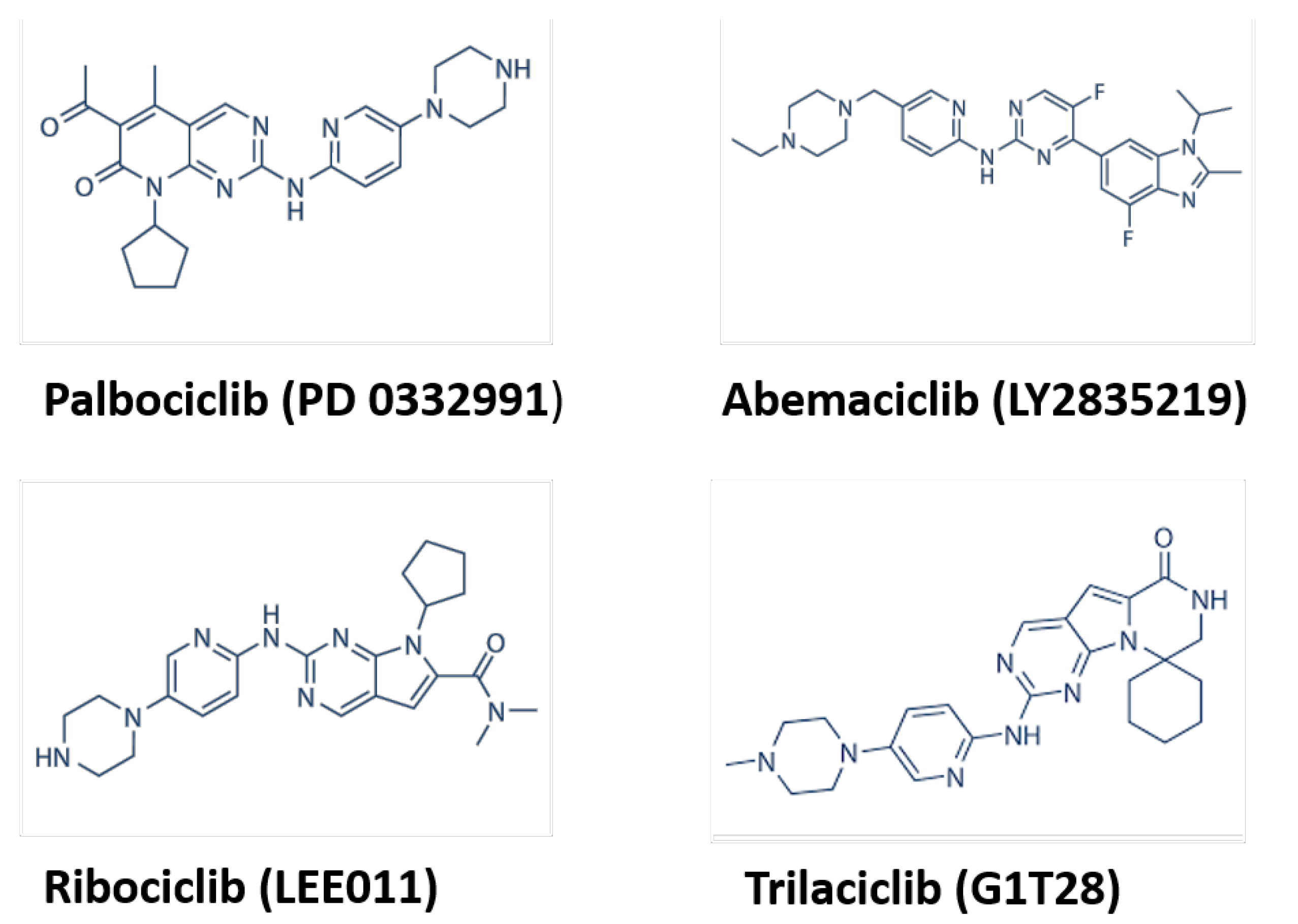 Cancers 15 00968 g002