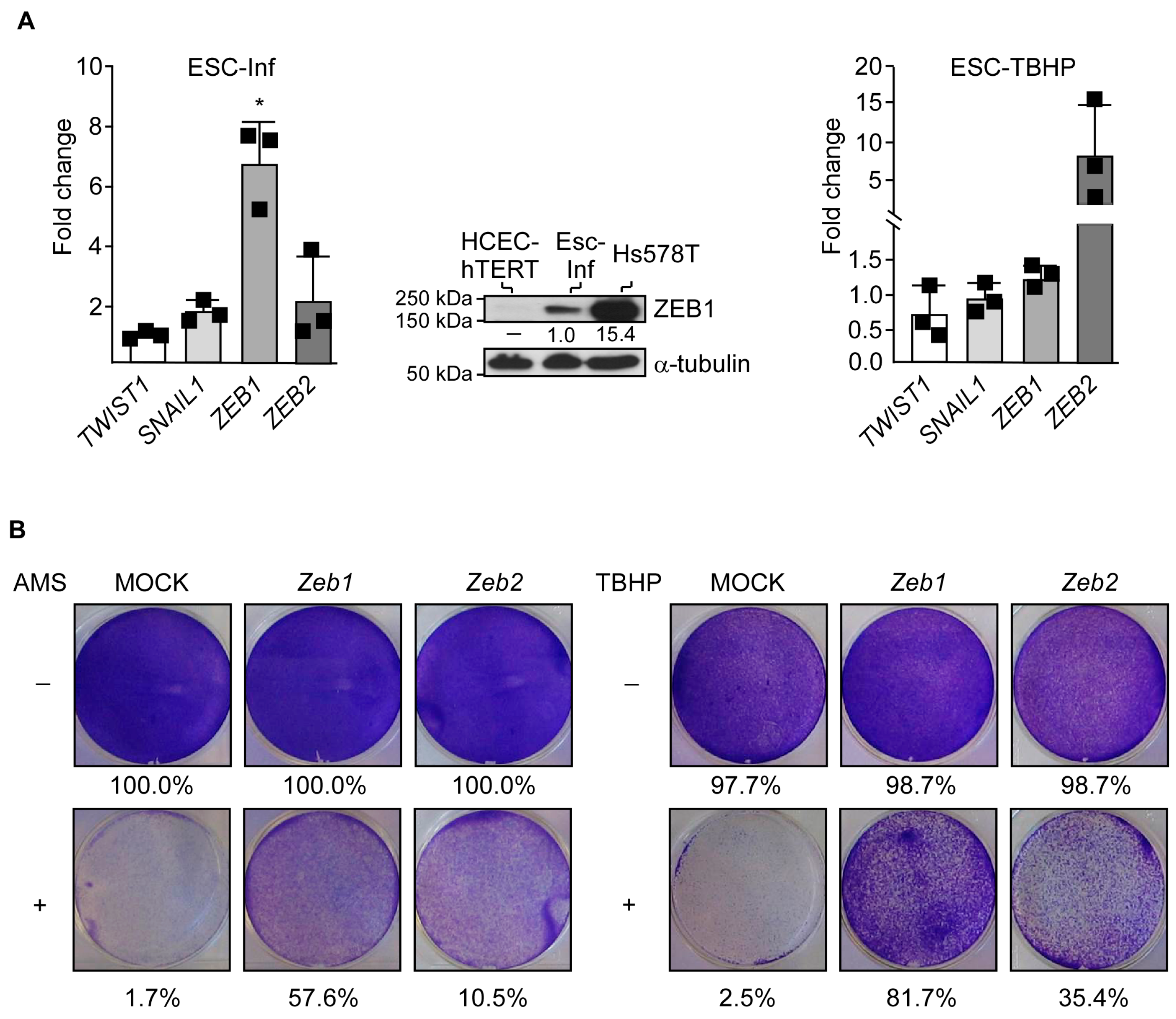 Cancers 15 00973 g003