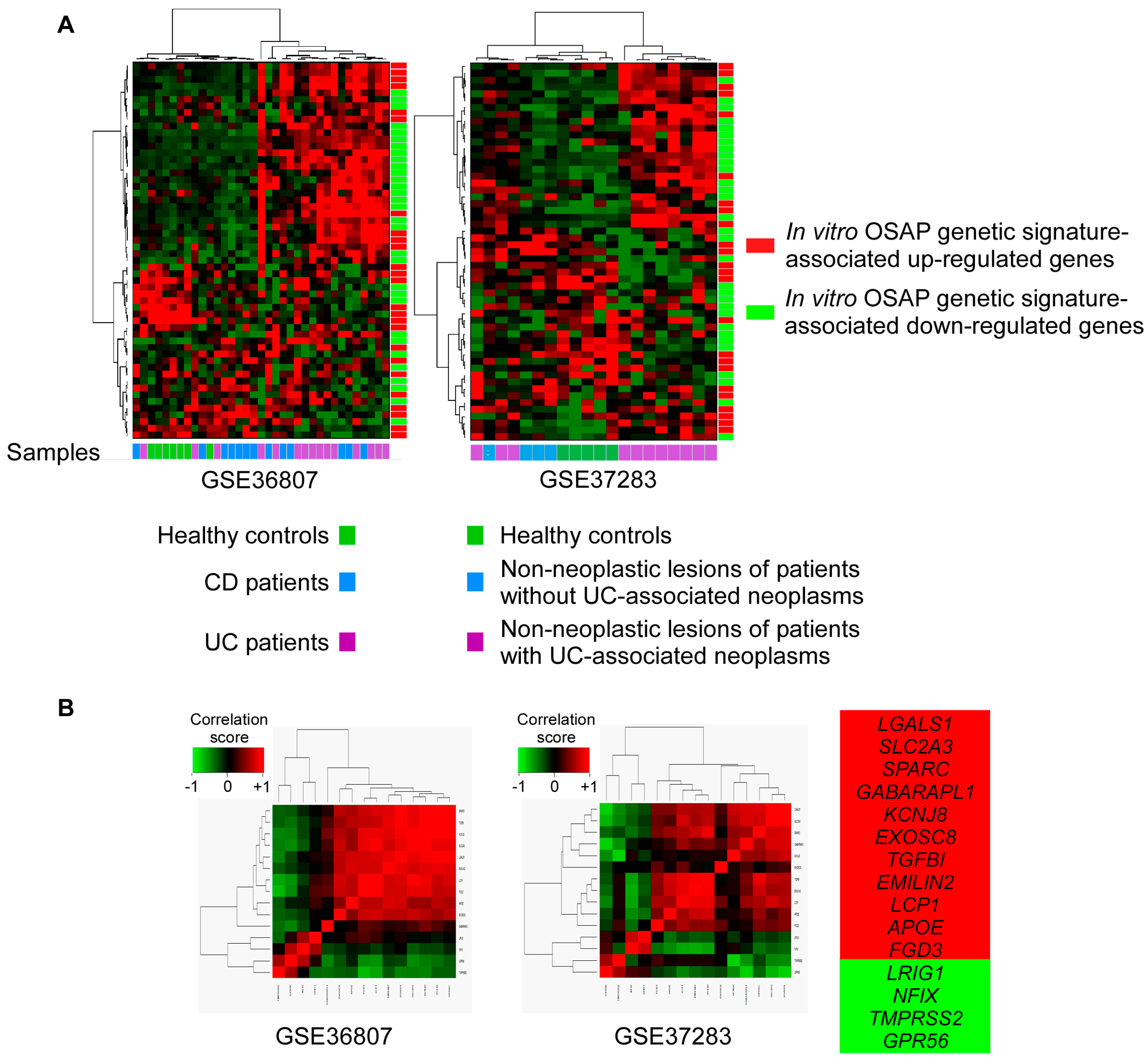 Cancers 15 00973 g005