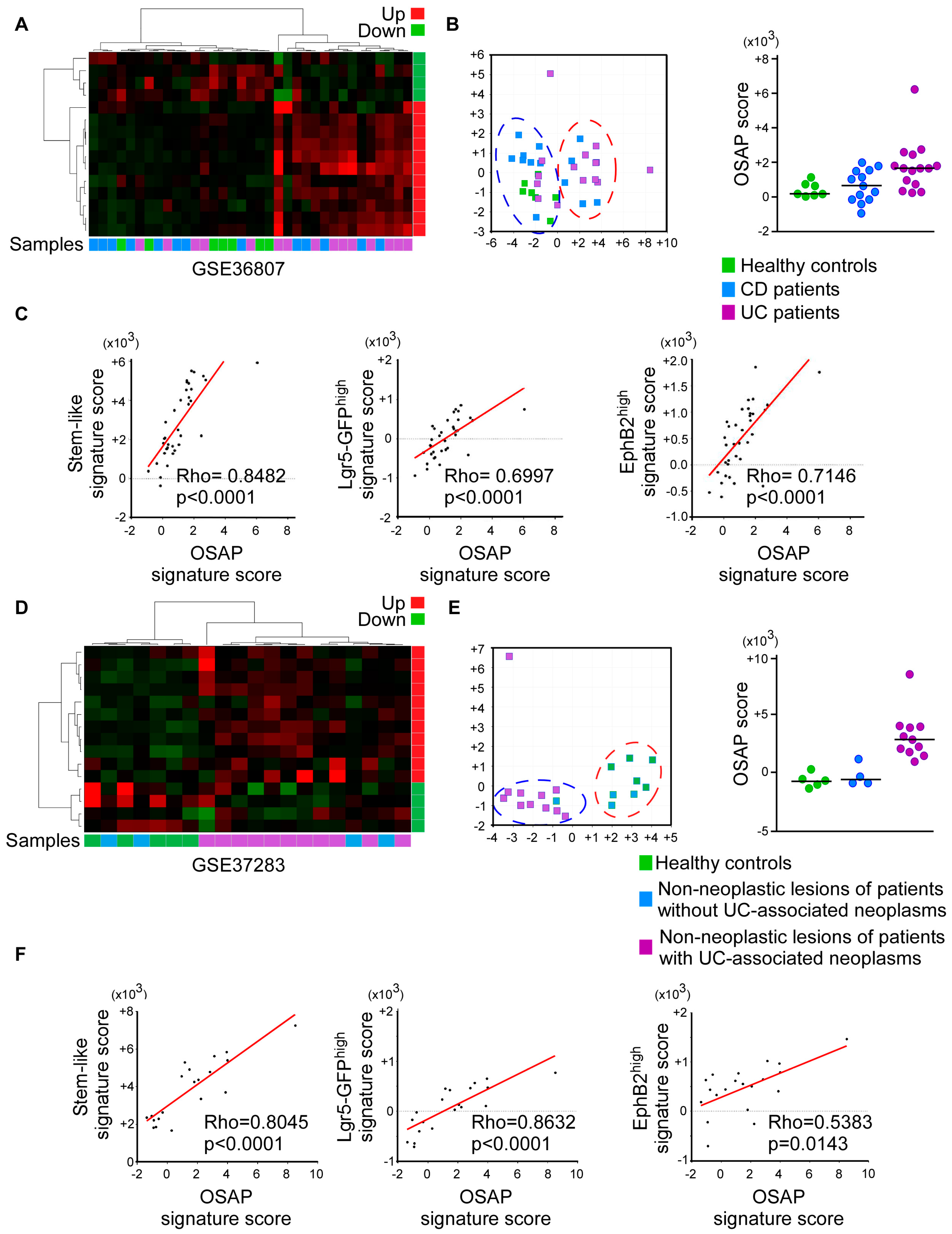 Cancers 15 00973 g006