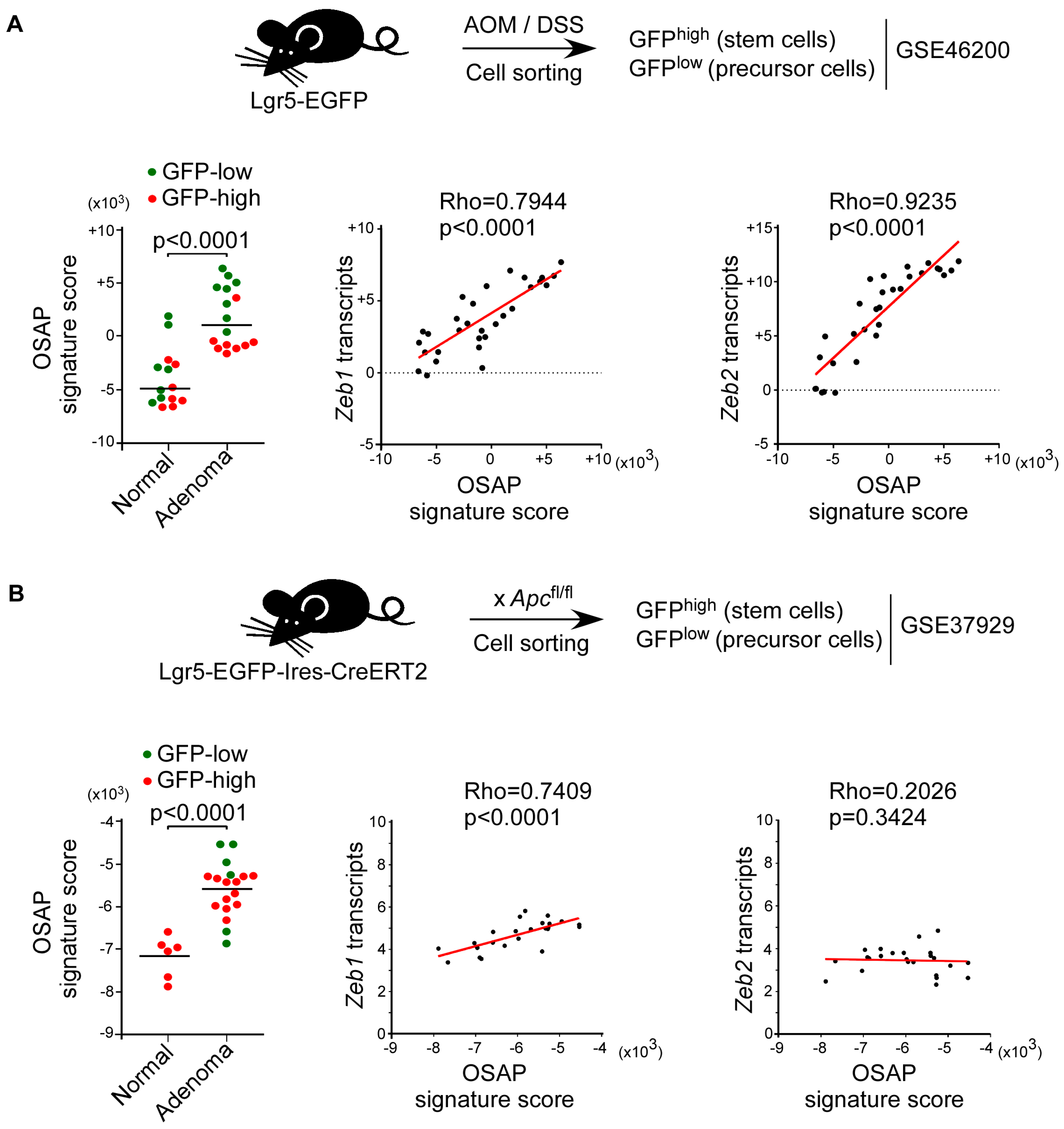 Cancers 15 00973 g007