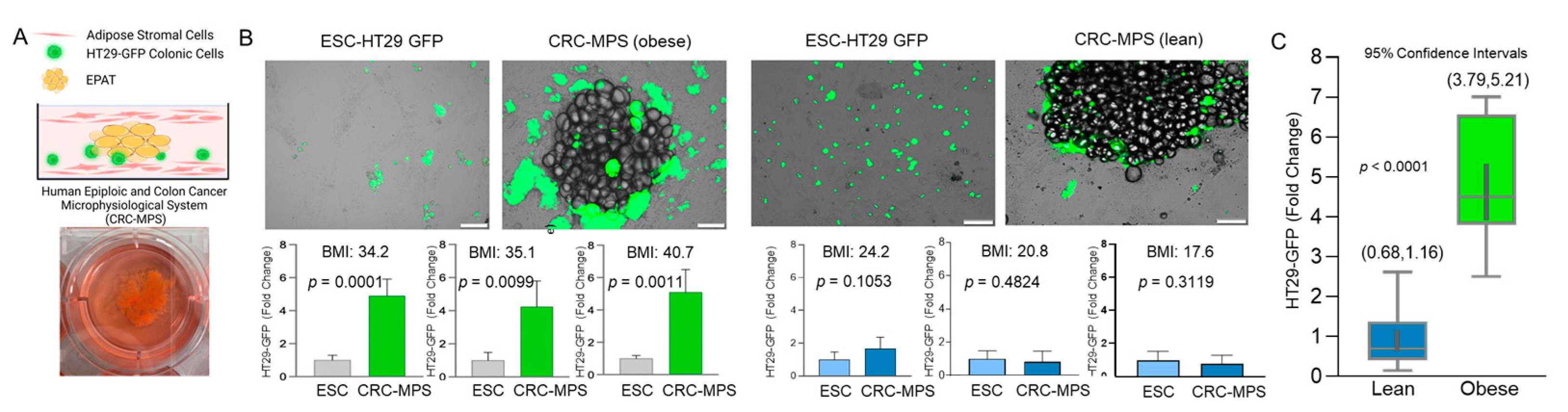 Cancers 15 00977 g001
