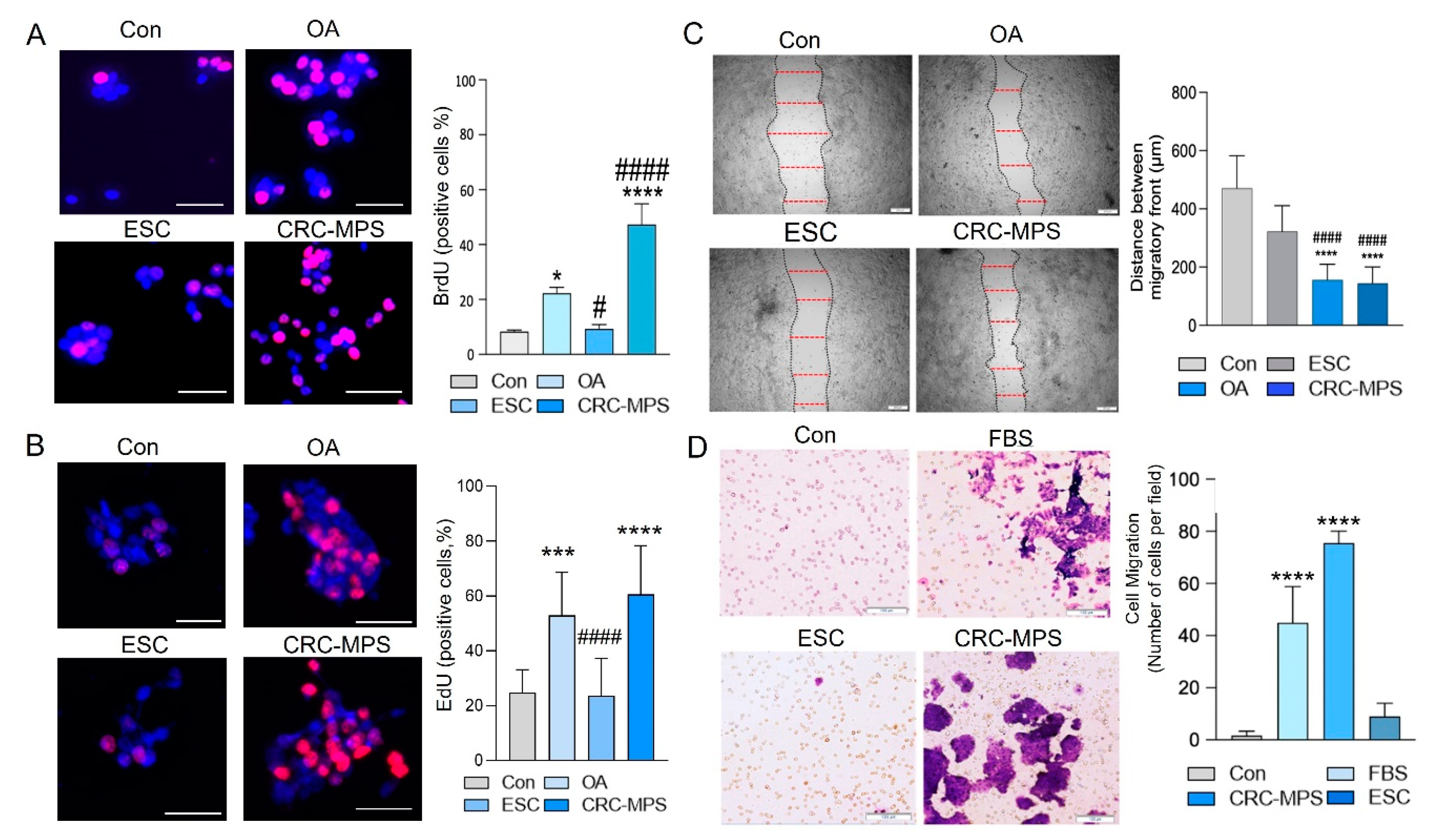Cancers 15 00977 g002